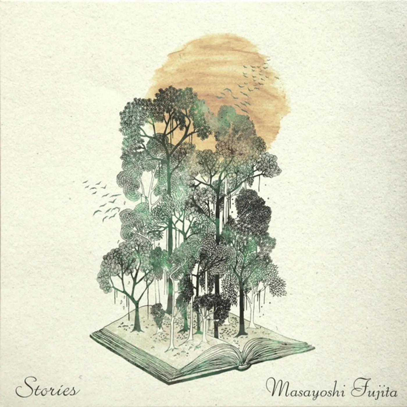 Masayoshi Fujita Stories Vinyl Record