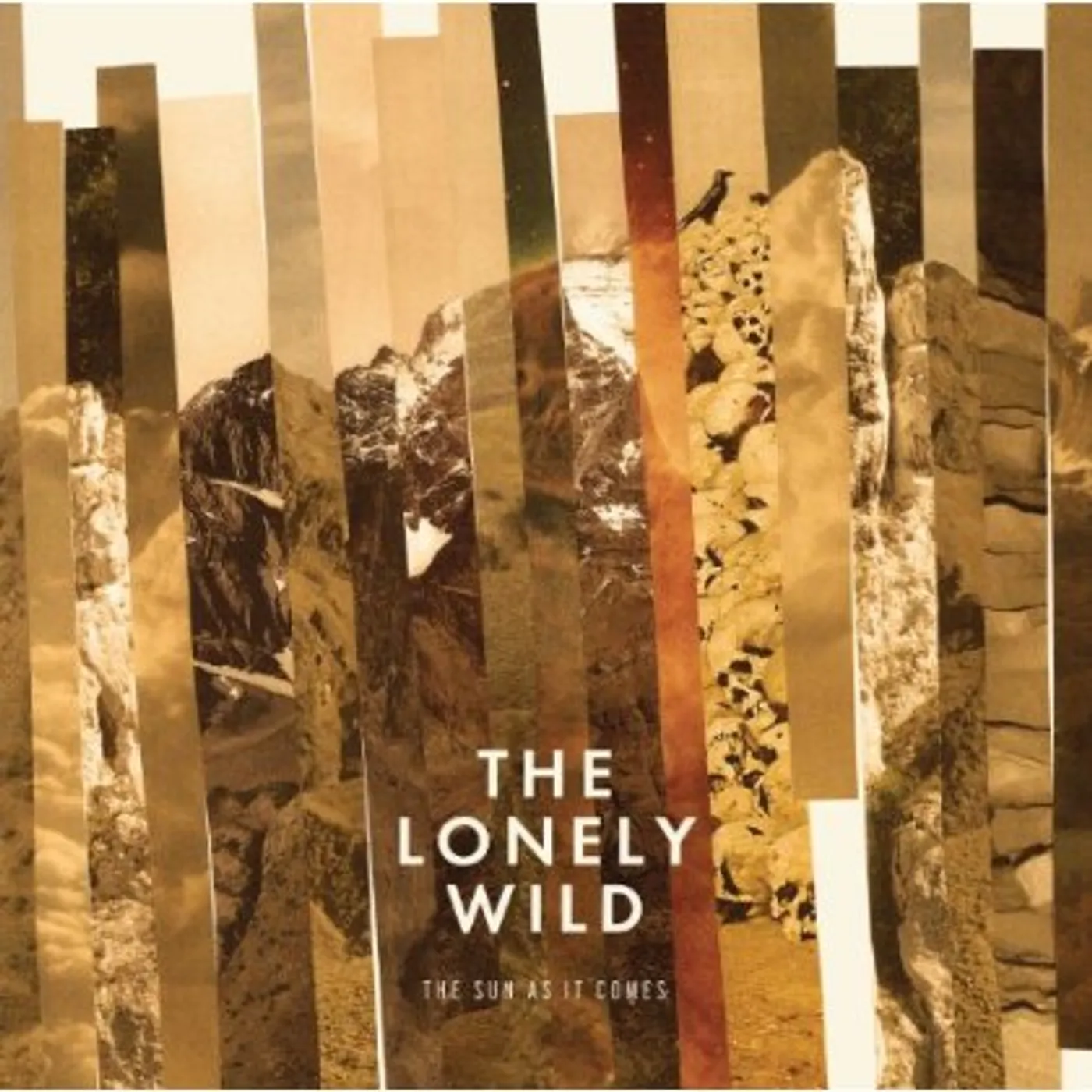 The Lonely Wild SUN AS IT COMES Vinyl Record