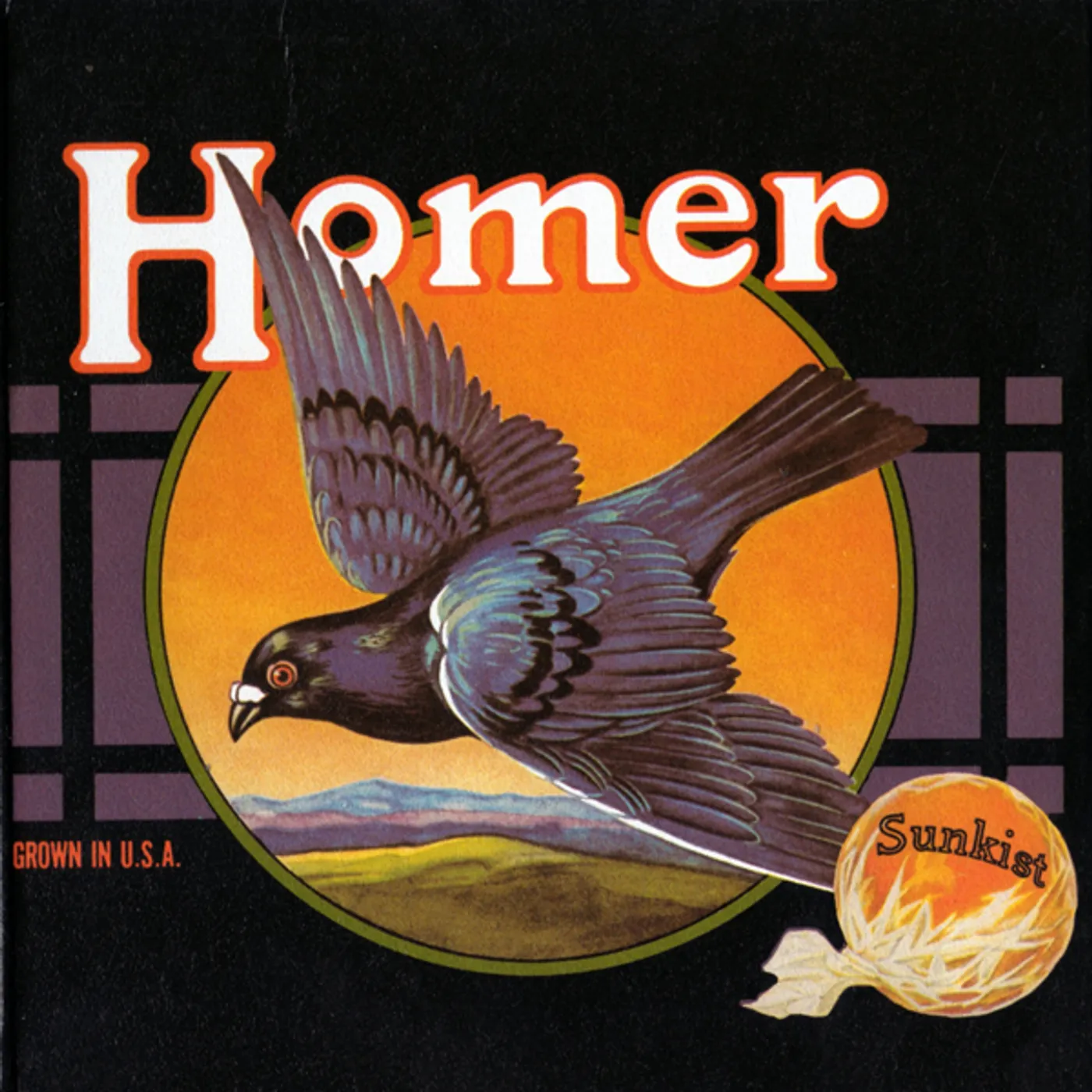 Homer GROWN IN U.S.A. Vinyl Record