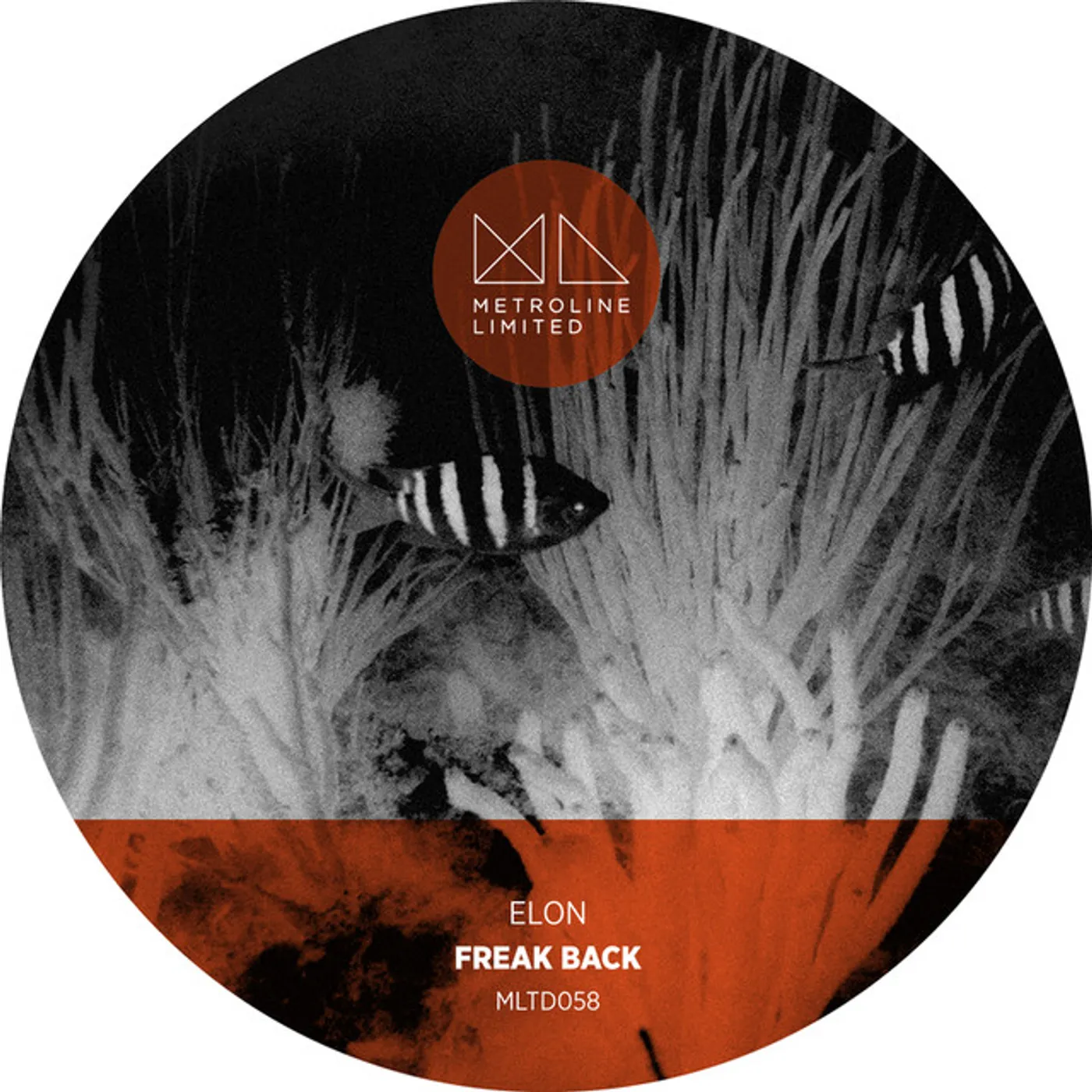 Elon Freak Back Vinyl Record