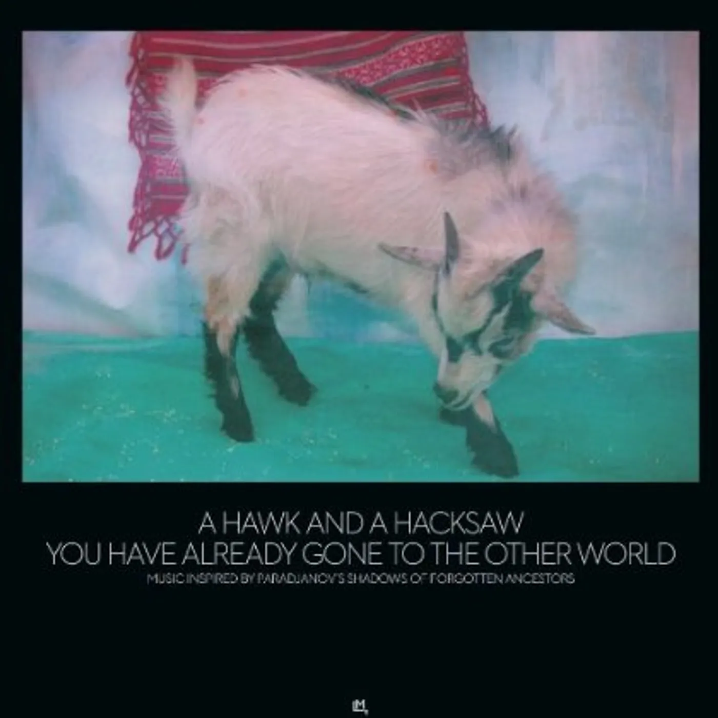 A Hawk And A Hacksaw YOU HAVE ALREADY GONE TO THE OTHER WORLD CD