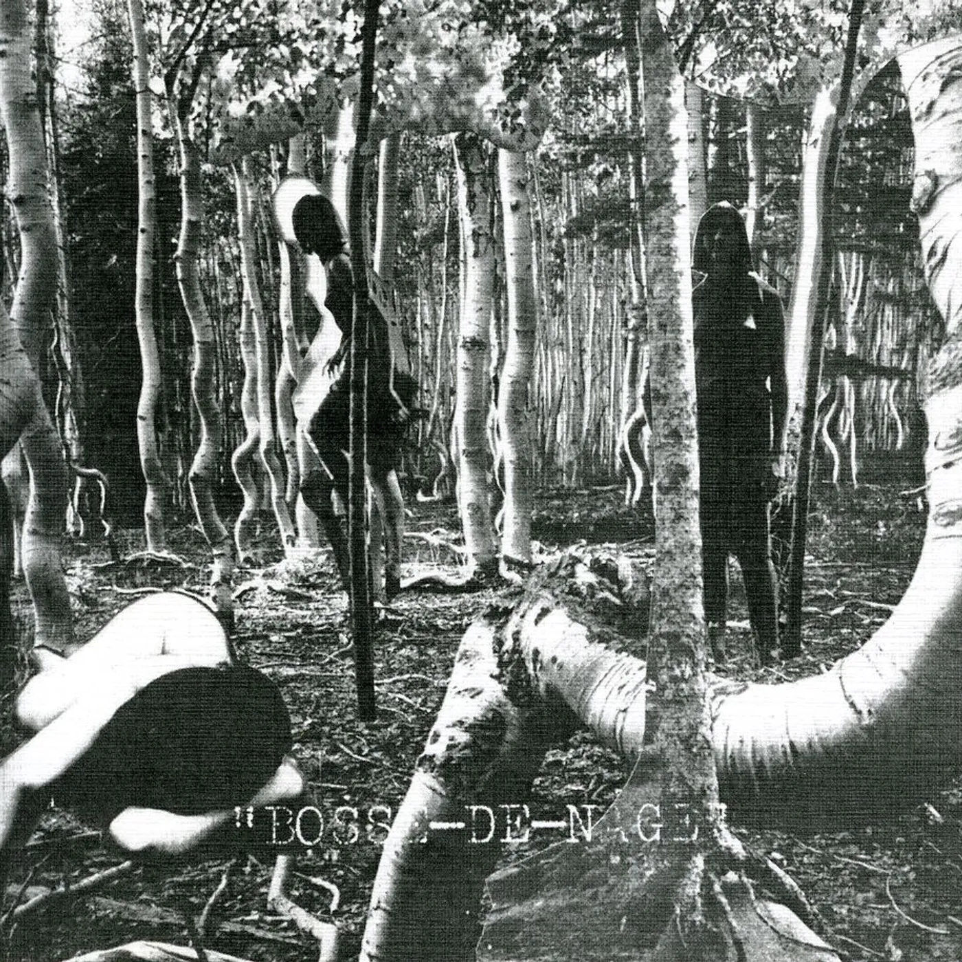 BOSSE-DE-NAGE CD