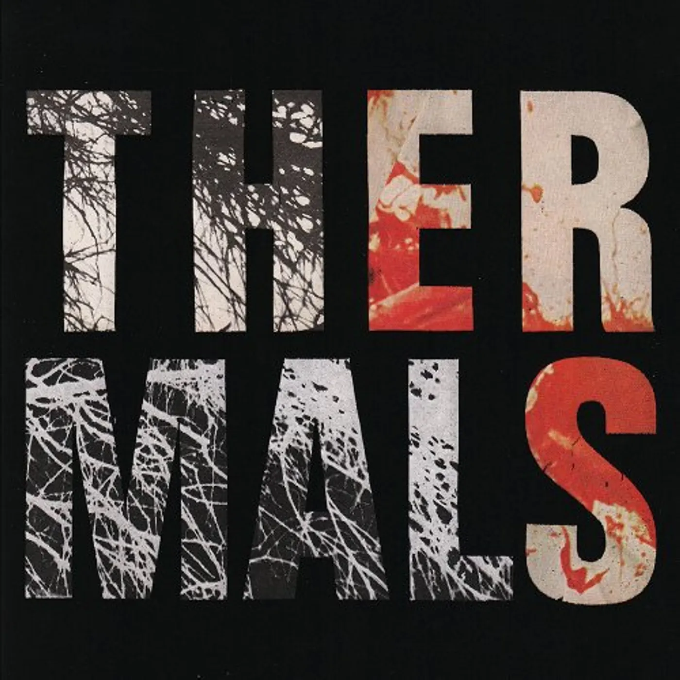 The Thermals Desperate Ground Vinyl Record