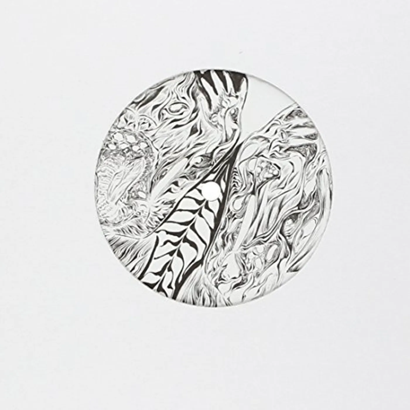 Madteo Strumpetocracy Vinyl Record