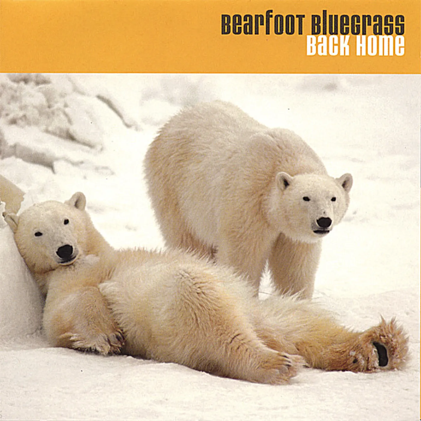 Bearfoot BACK HOME CD