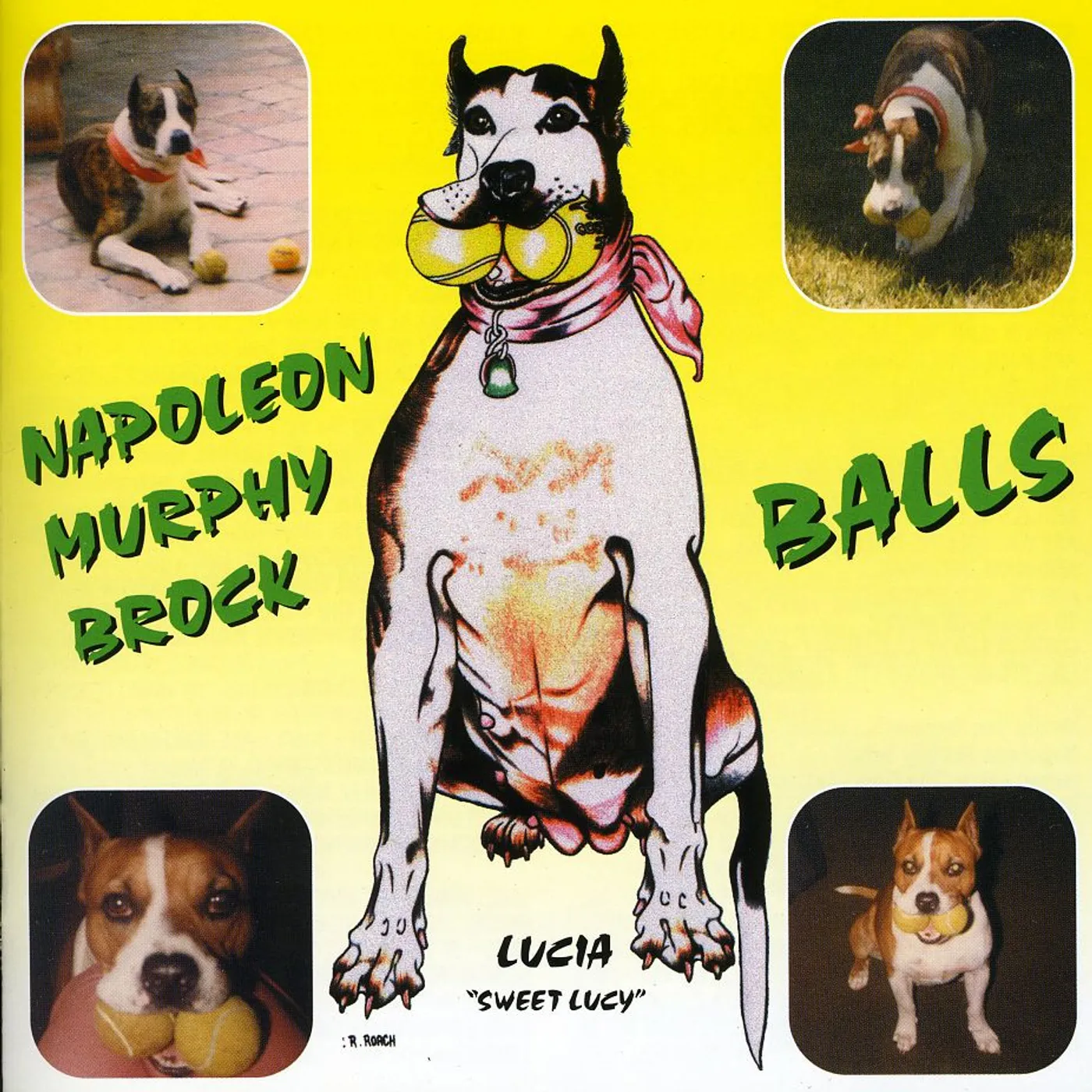 Napoleon Murphy Brock BALLS CD