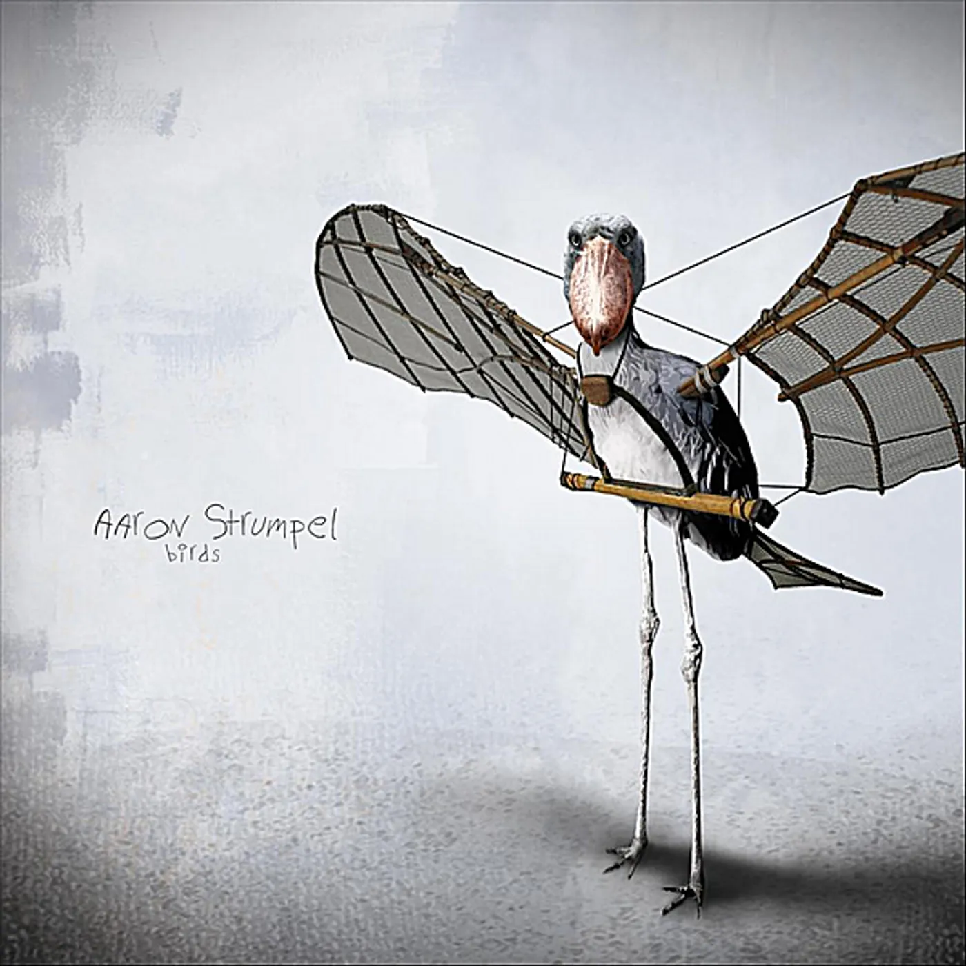 Aaron Strumpel BIRDS CD
