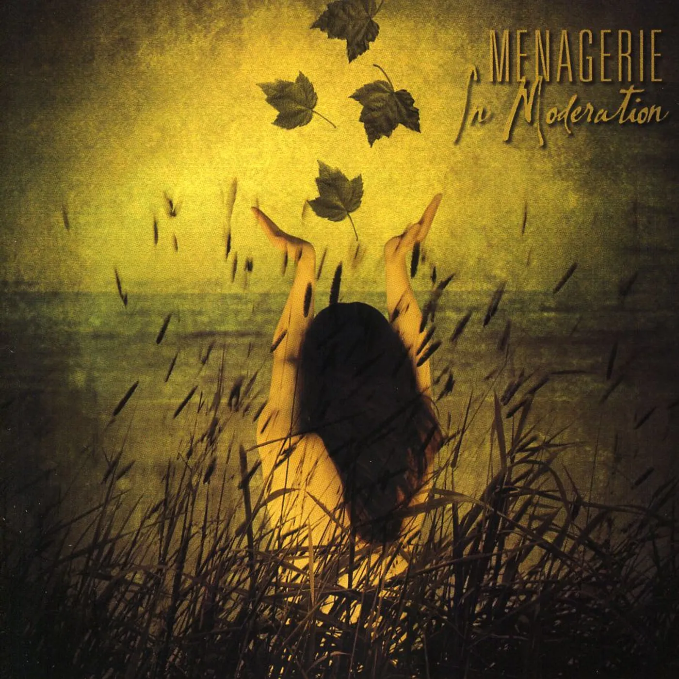 Menagerie - IN MODERATION IN MODERATION CD