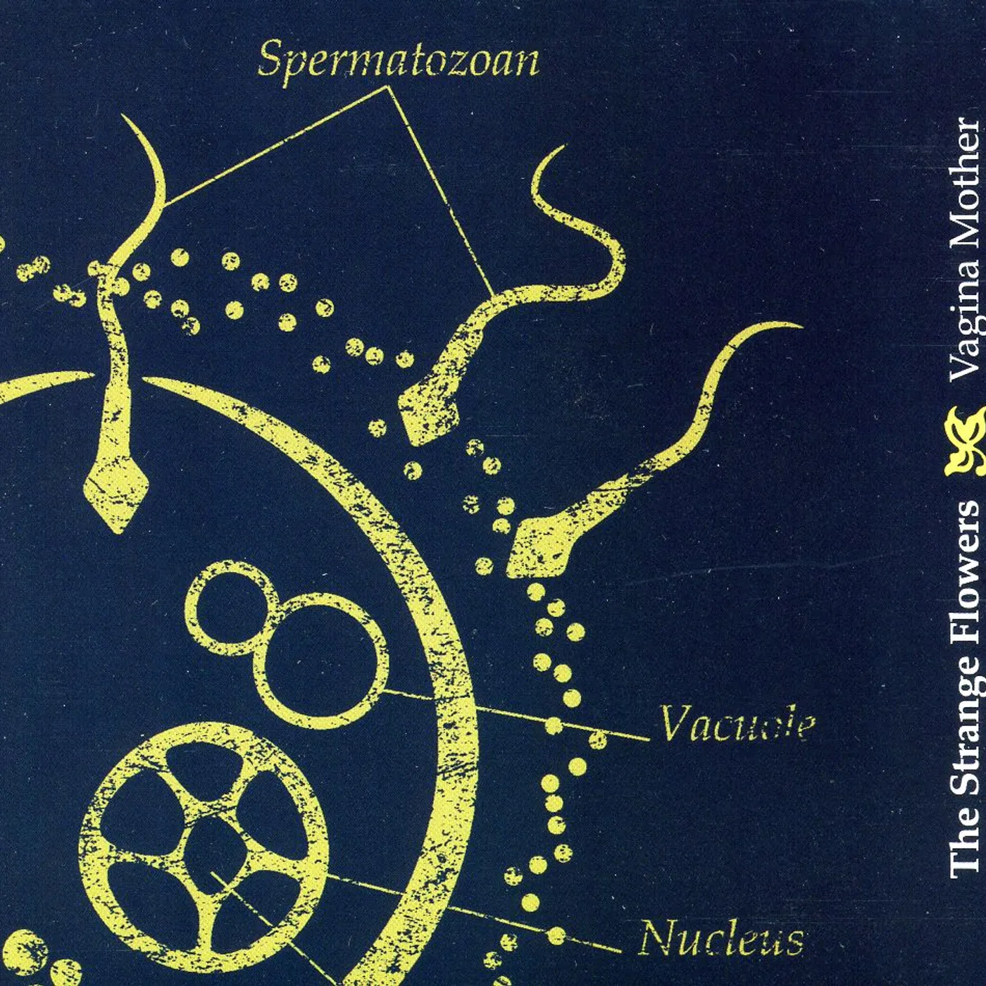 The Strange Flowers VAGINA MOTHER CD
