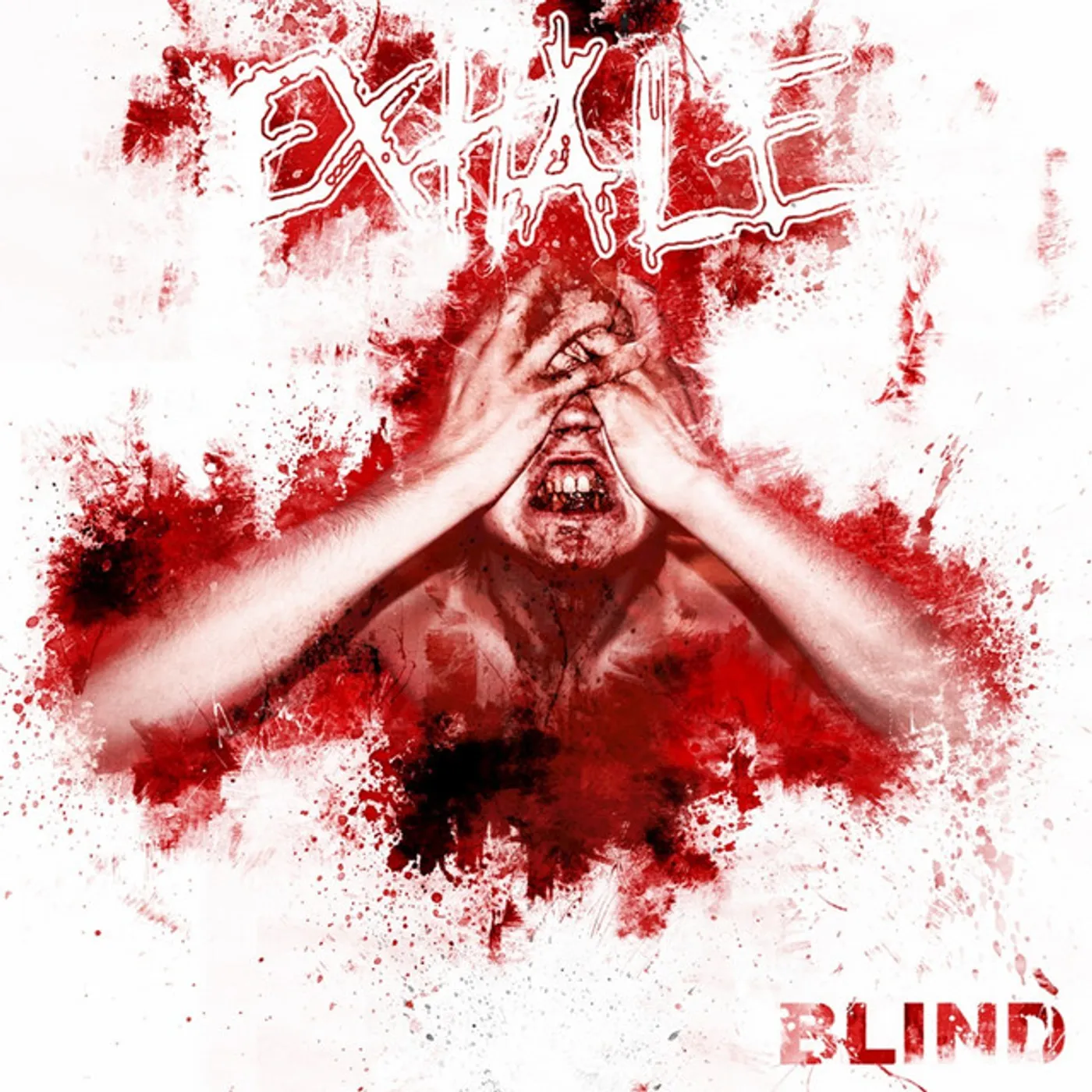 Exhale Blind Vinyl Record