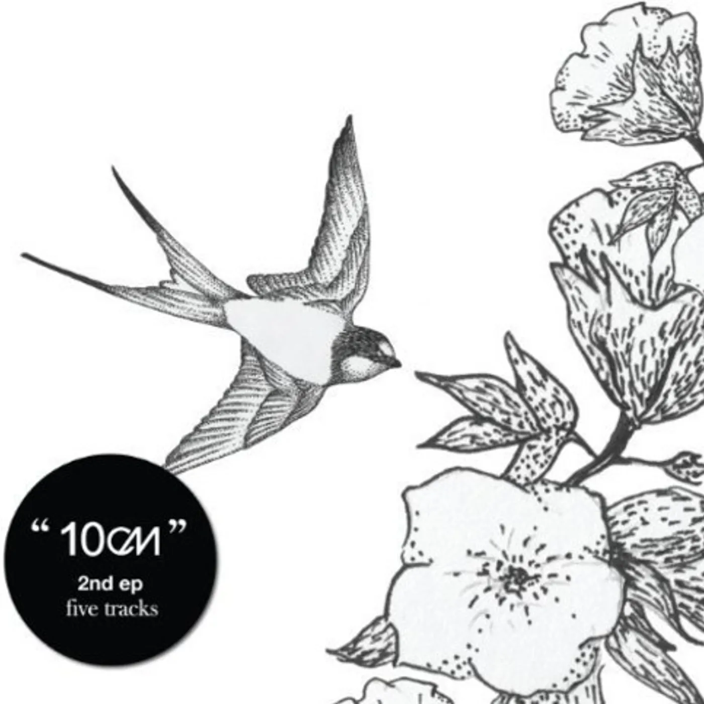 10CM 2 CD
