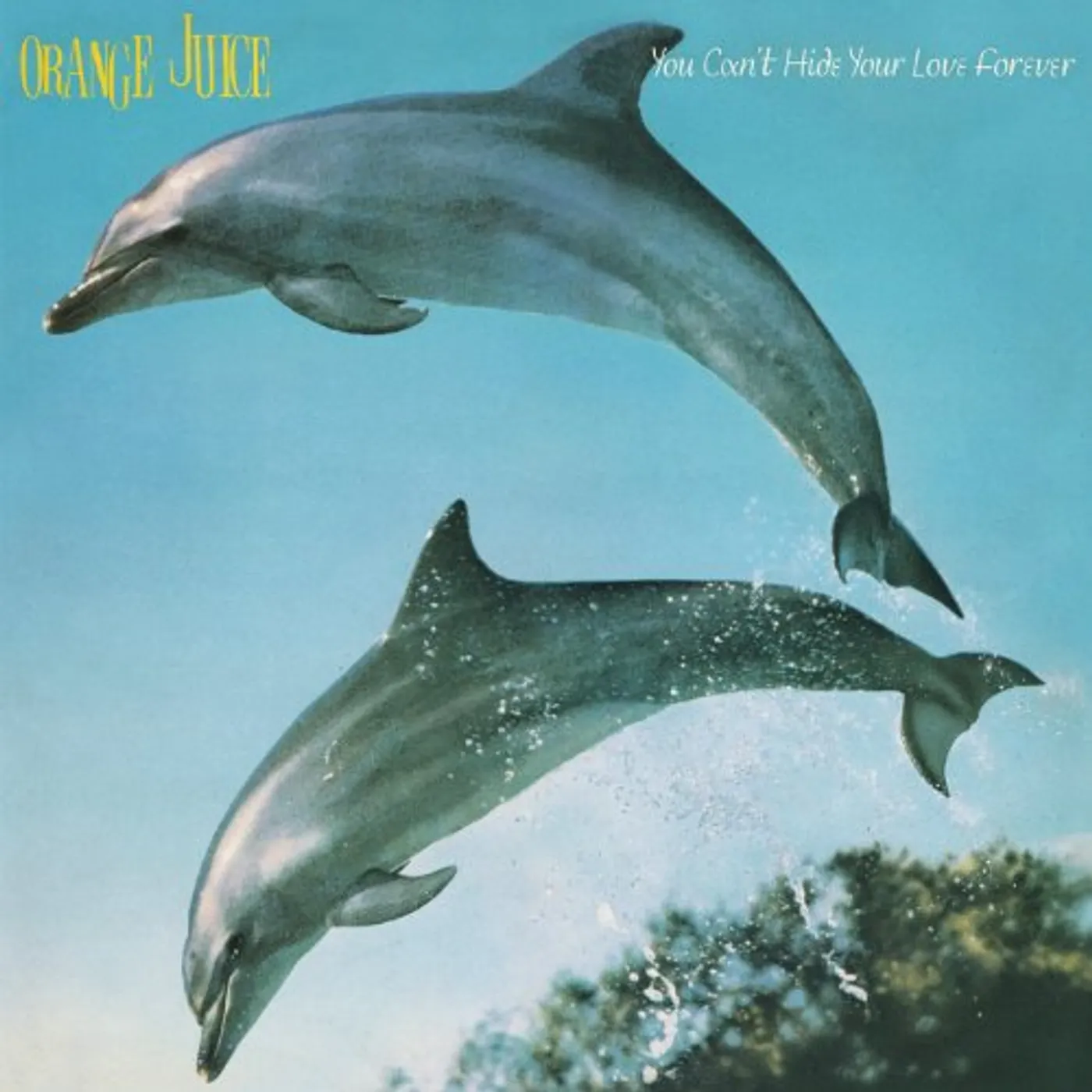 Orange Juice You Can't Hide Your Love Forever Vinyl Record