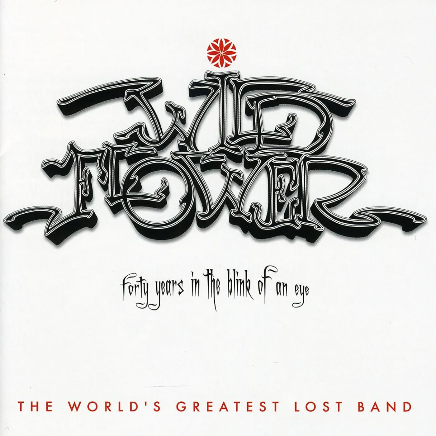 Wildflower FORTY YEARS IN THE BLINK OF AN EYE CD