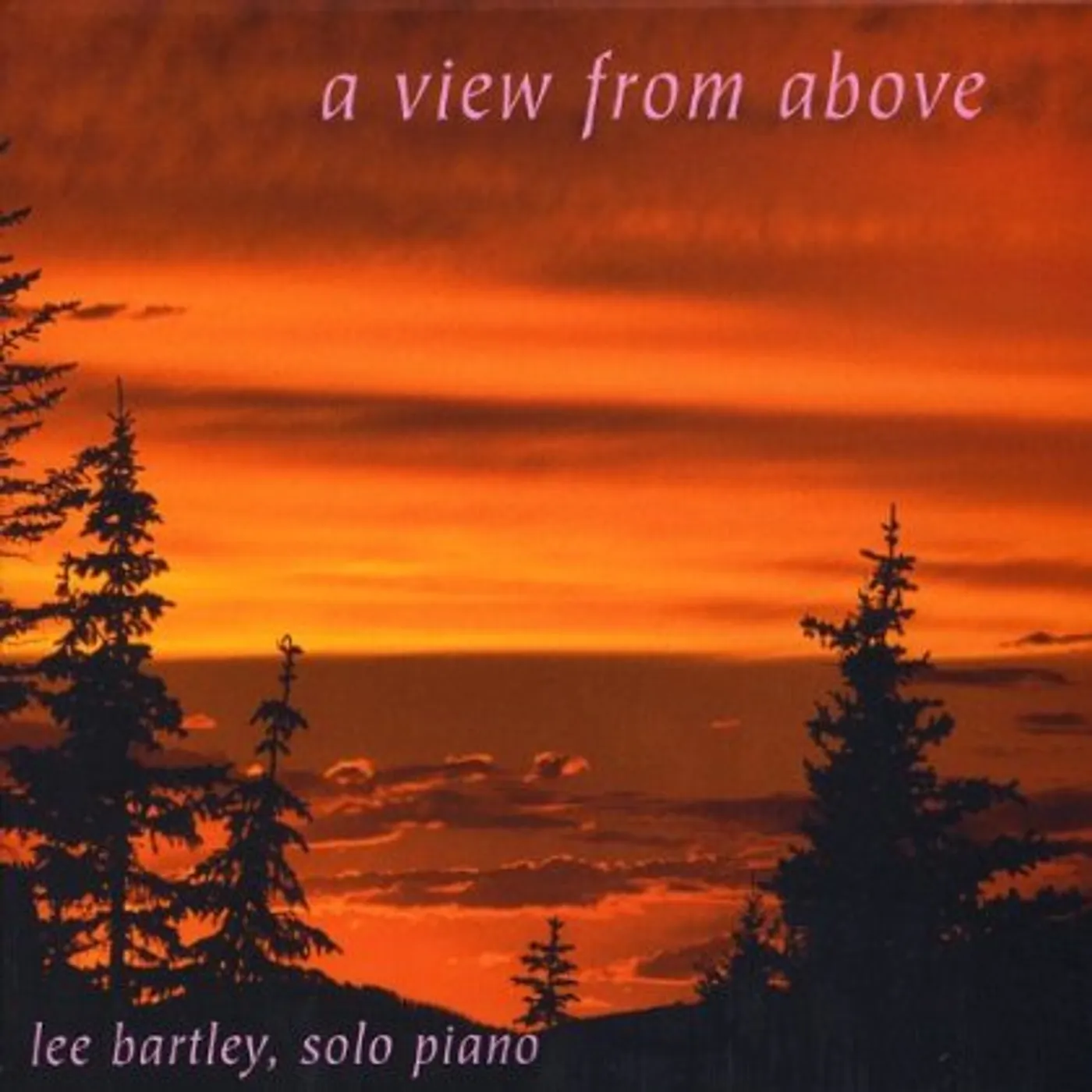 Lee Bartley VIEW FROM ABOVE CD
