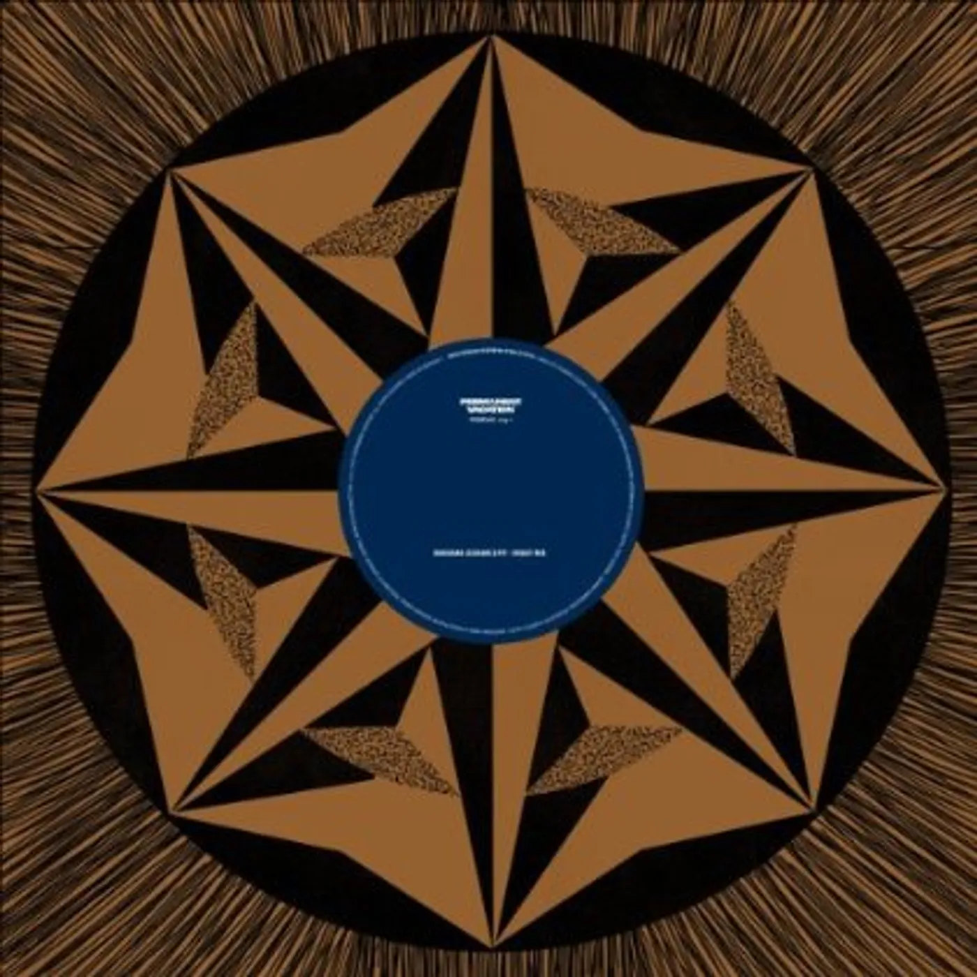 Disco Doubles Demons (Darshan Jesrani Mixes) Vinyl Record