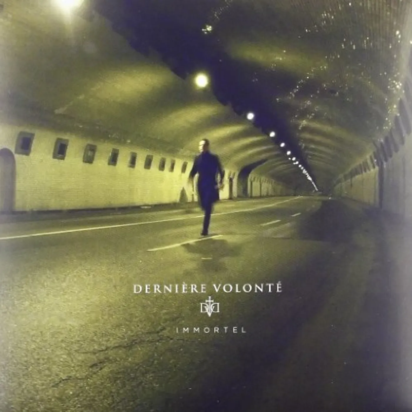 Derniere Volonte Immortel Vinyl Record