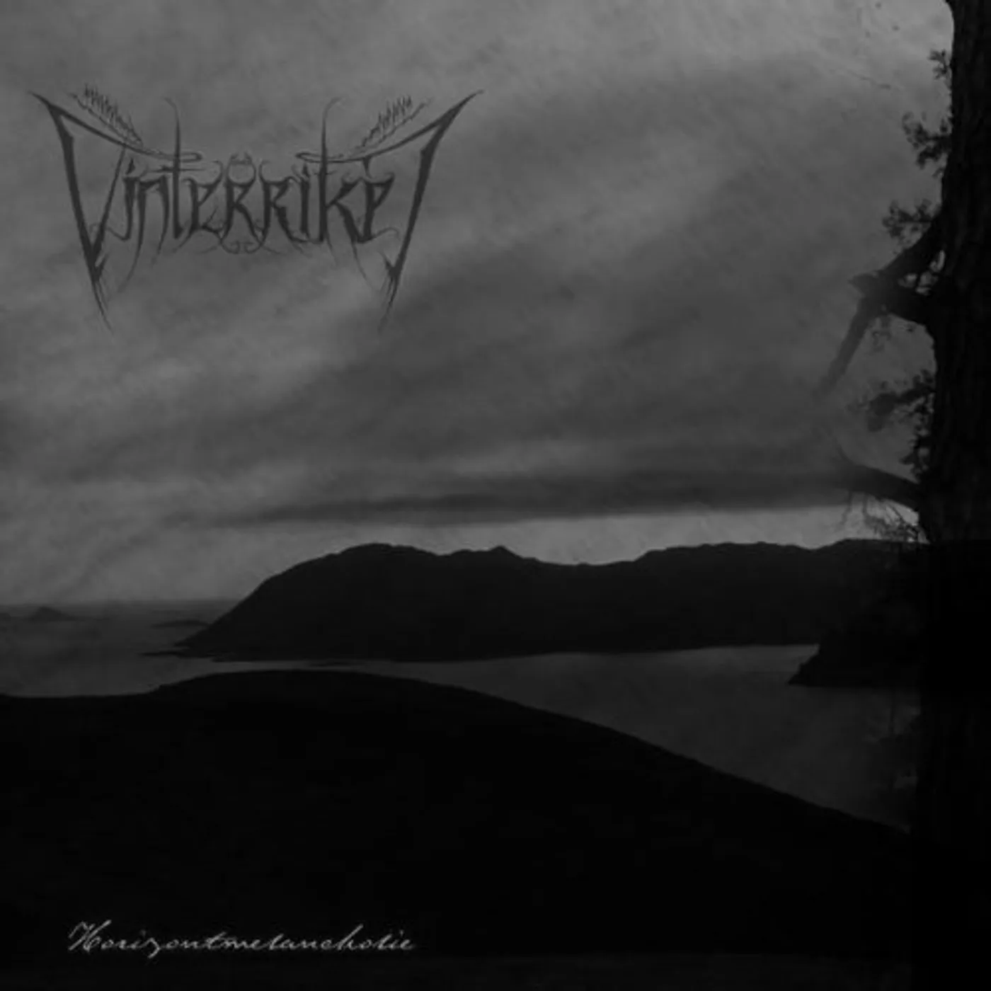 Vinterriket HORIZONTMELANCHOLIE CD