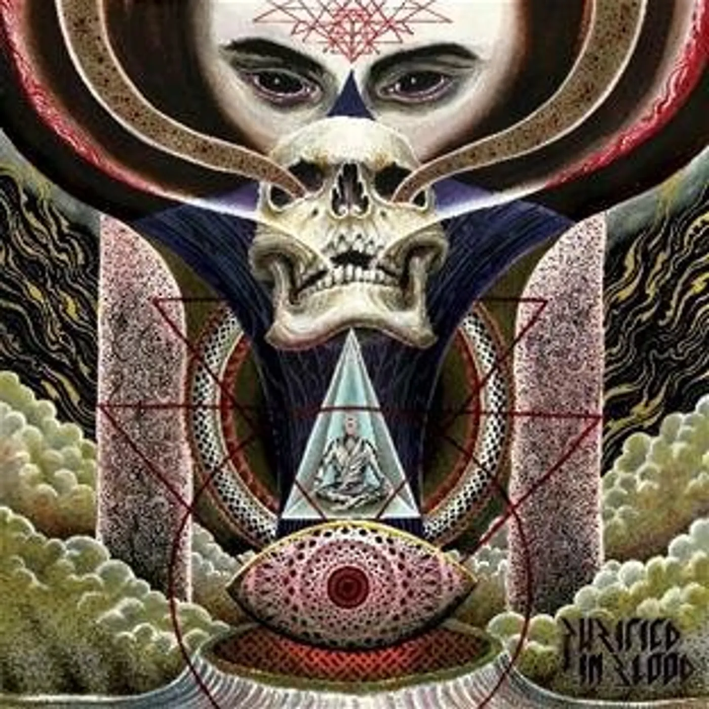 Purified In Blood Flight Of A Dying Sun Vinyl Record