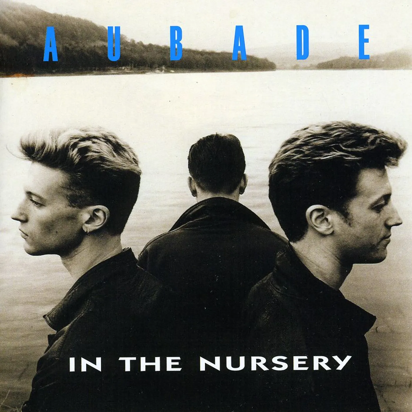 In The Nursery AUBADE CD