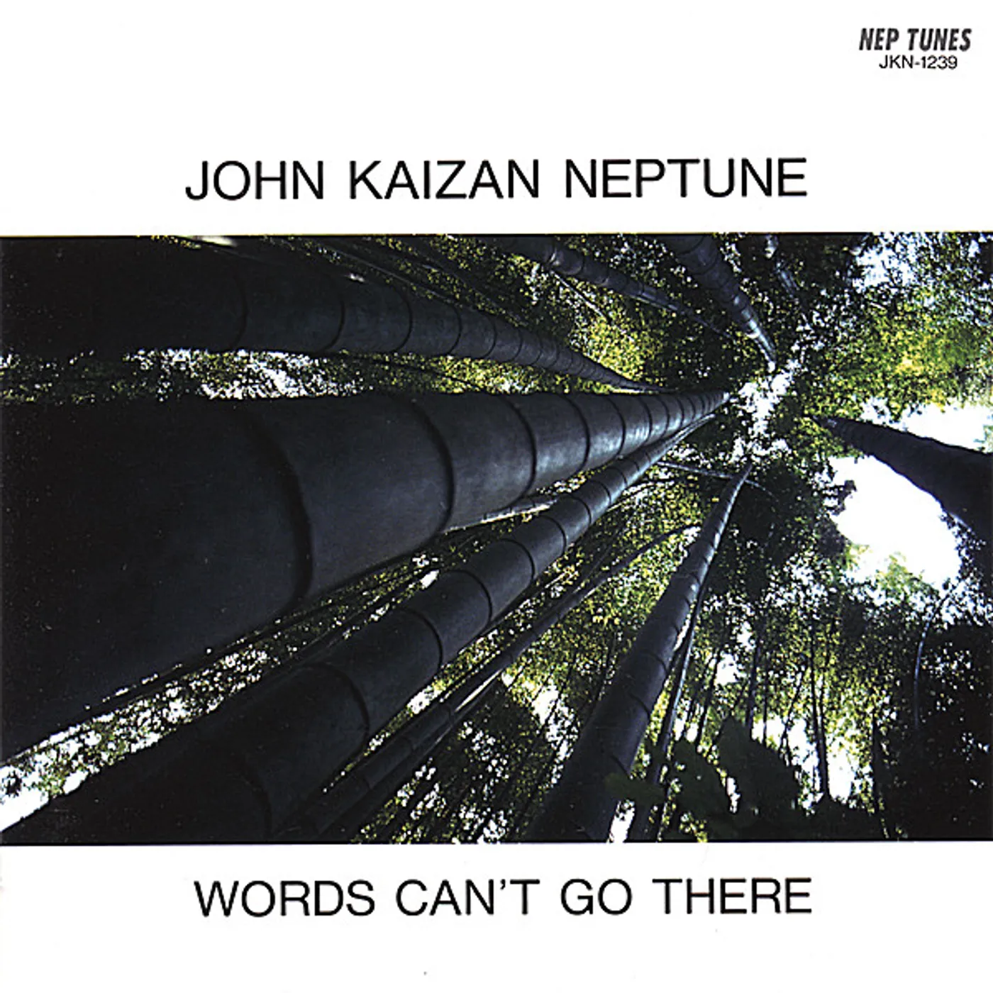 John Kaizan Neptune WORDS CAN'T GO THERE CD