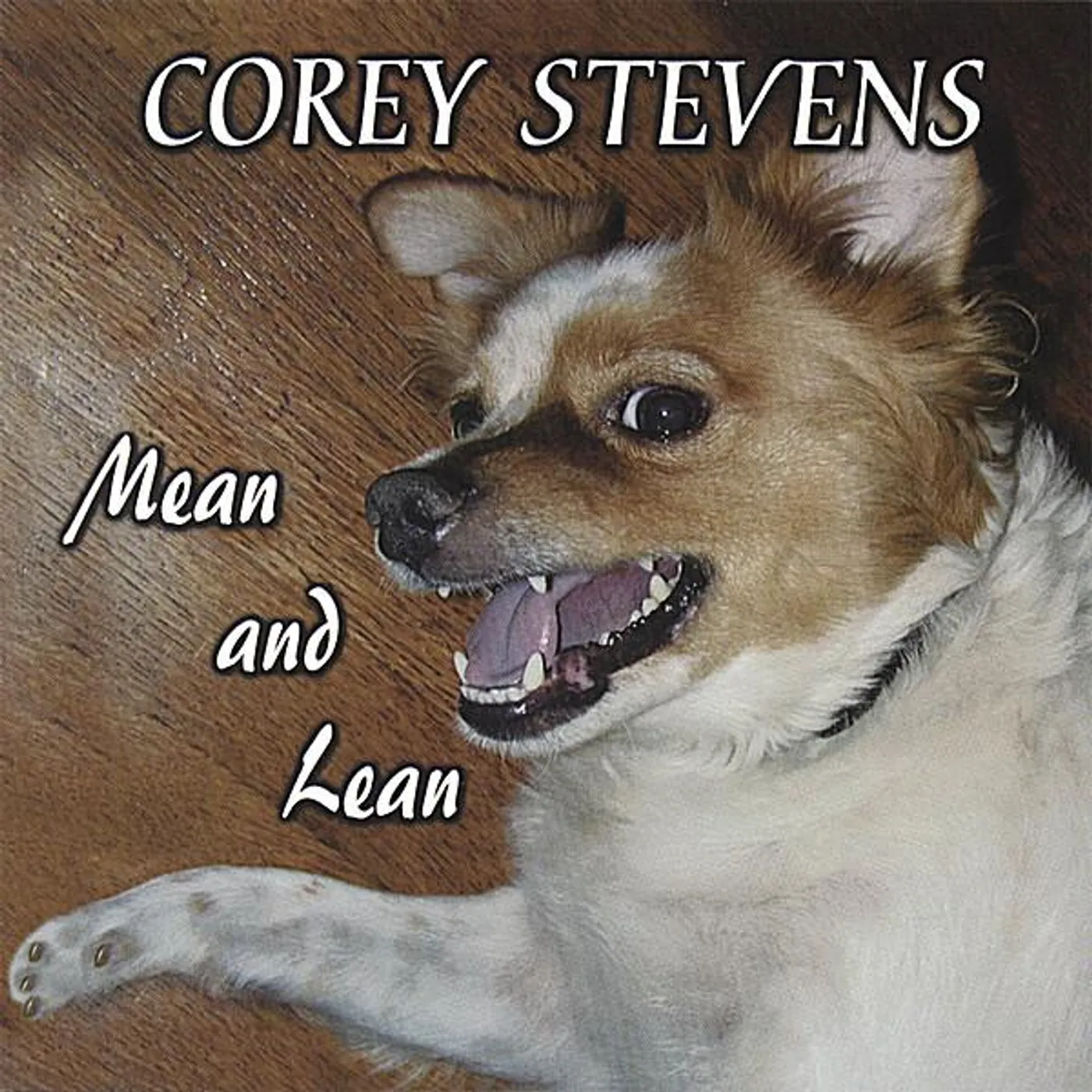 Corey Stevens MEAN & LEAN CD