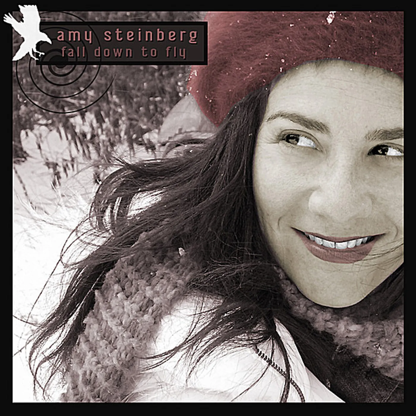 Amy Steinberg FALL DOWN TO FLY CD