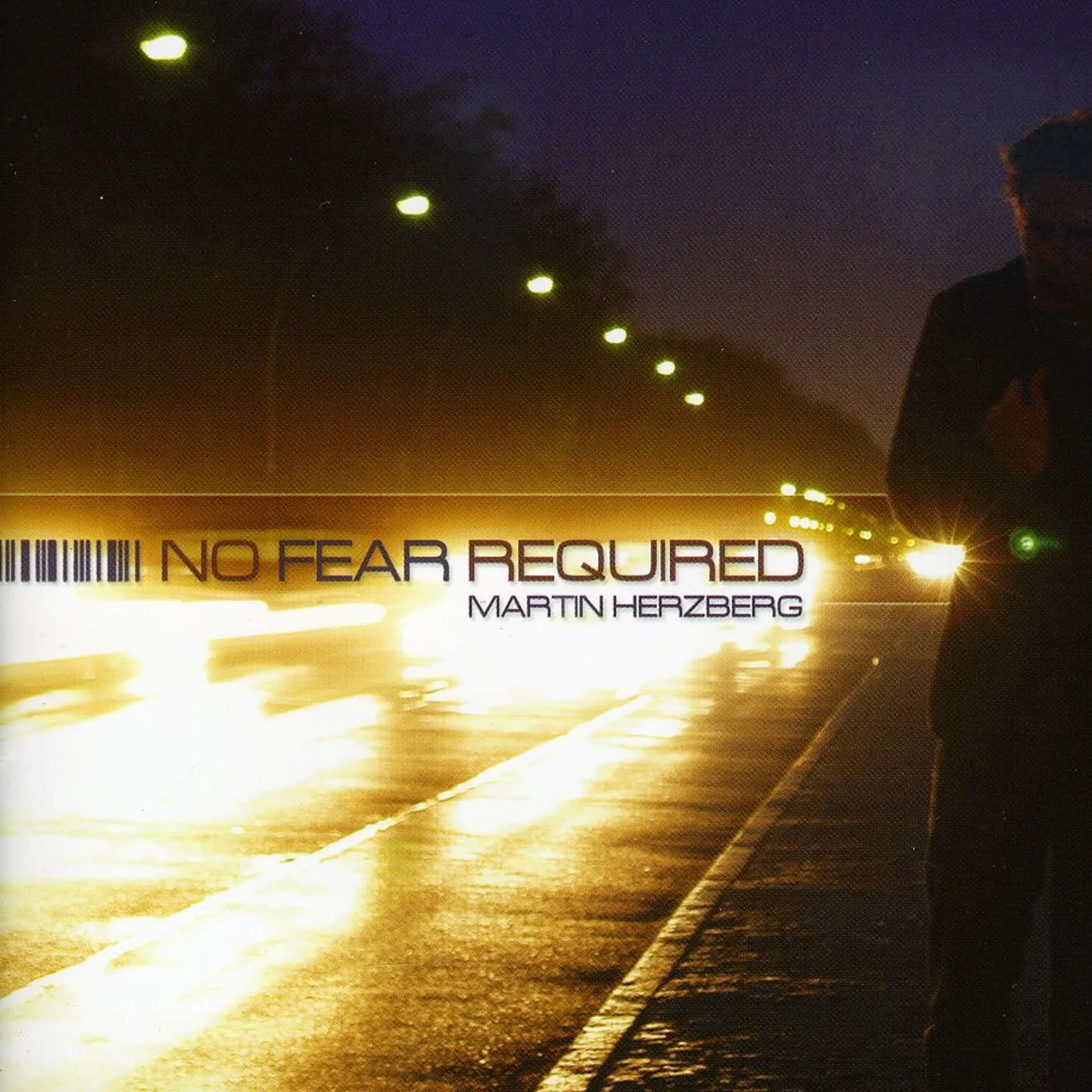 Martin Herzberg NO FEAR REQUIRED CD