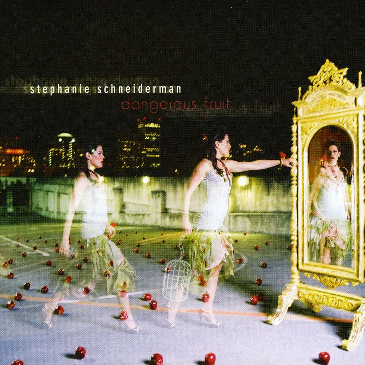 Stephanie Schneiderman DANGEROUS FRUIT CD