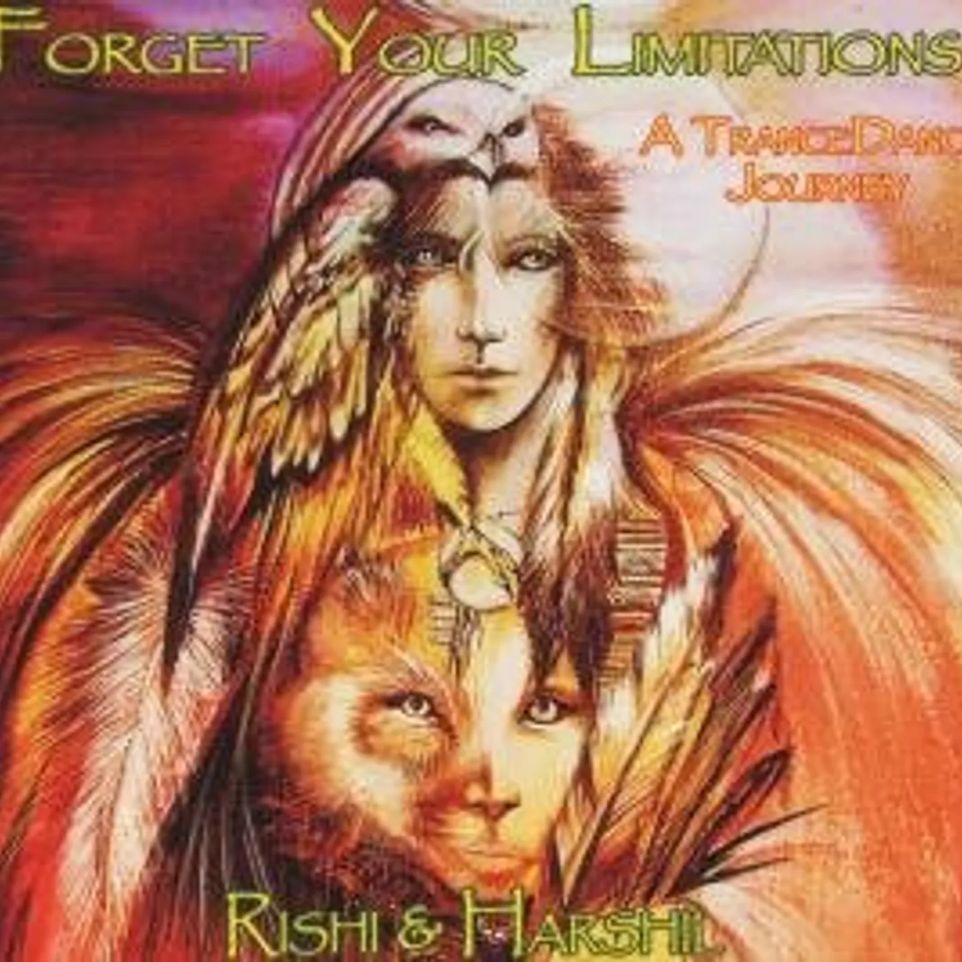 Rishi & Harshil FORGET YOUR LIMITATIONS CD
