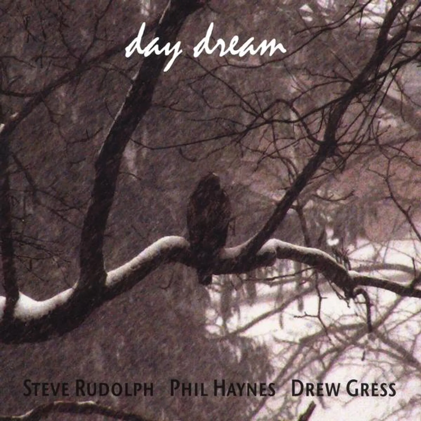Steve Rudolph DAY DREAM CD