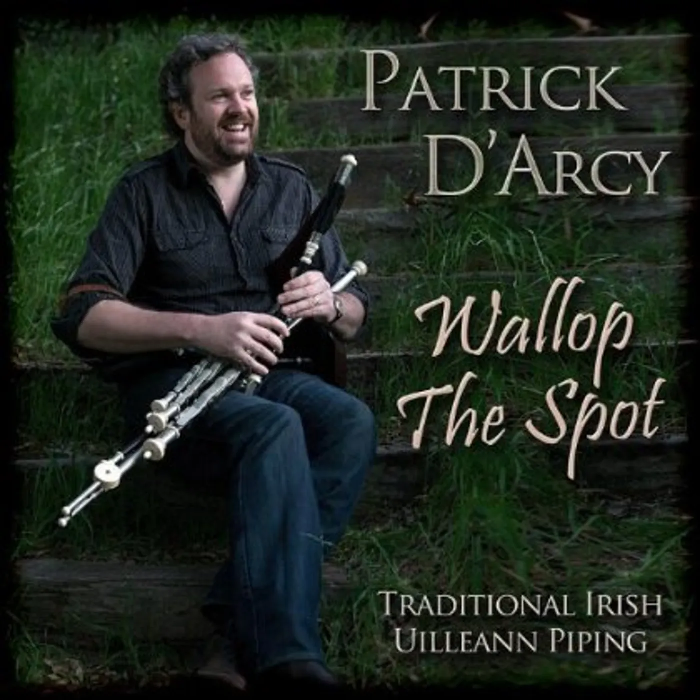 Patrick D'Arcy WALLOP THE SPOT CD