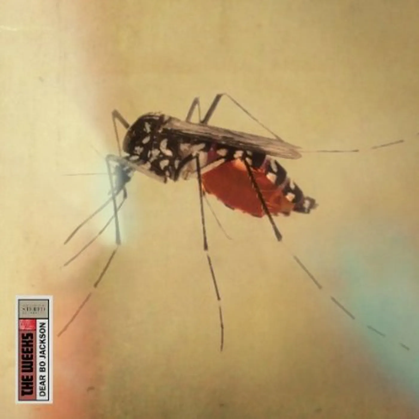 The Weeks DEAR BO JACKSON CD