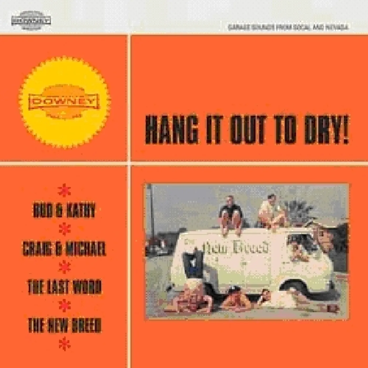 HANG IT OUT TO DRY / VARIOUS Vinyl Record
