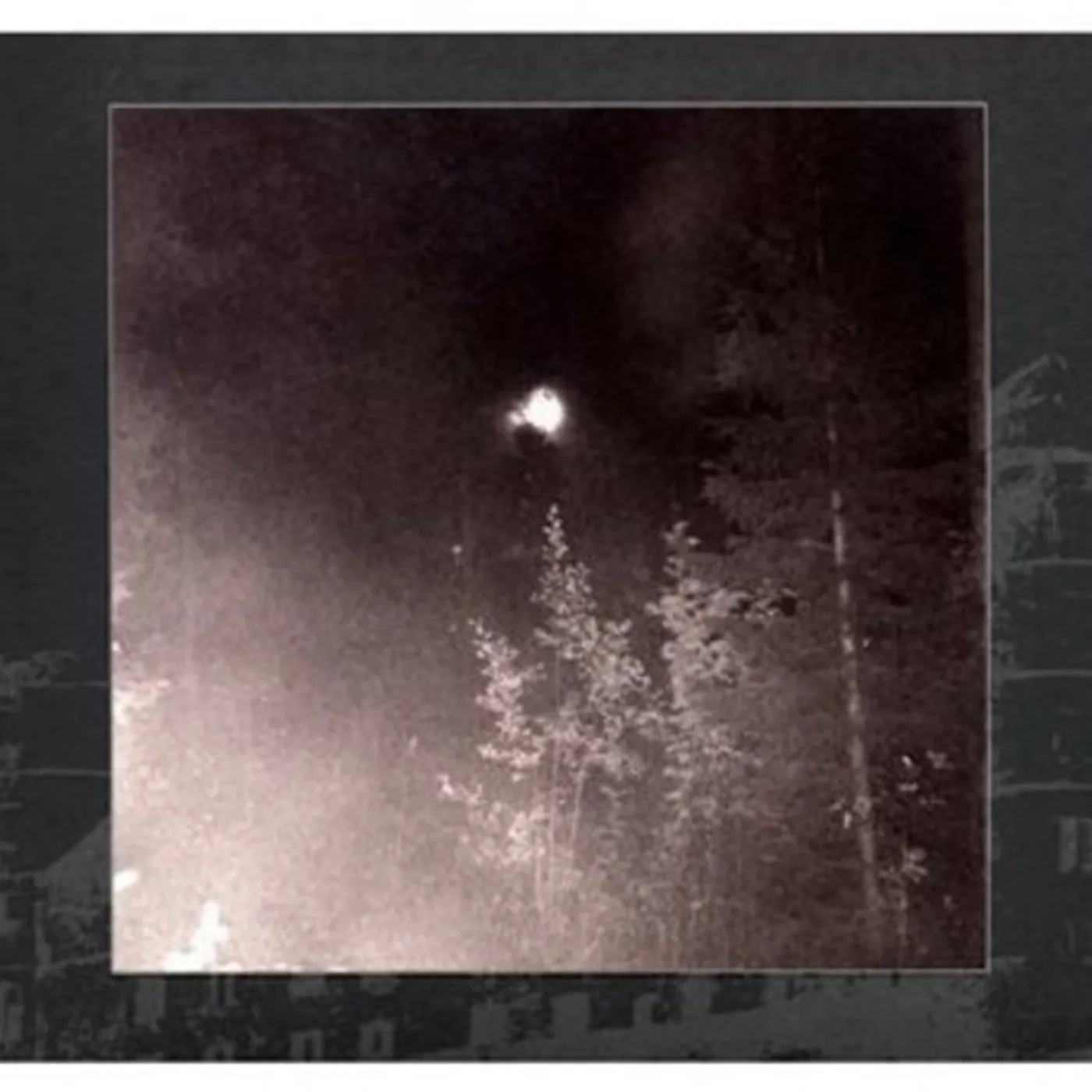 Sorhin SKOGSGRIFTENS RIKE CD