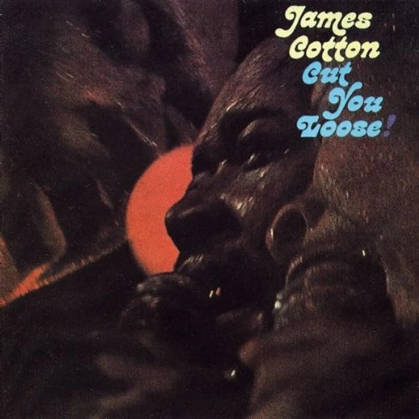 James Cotton CUT YOU LOOSE CD