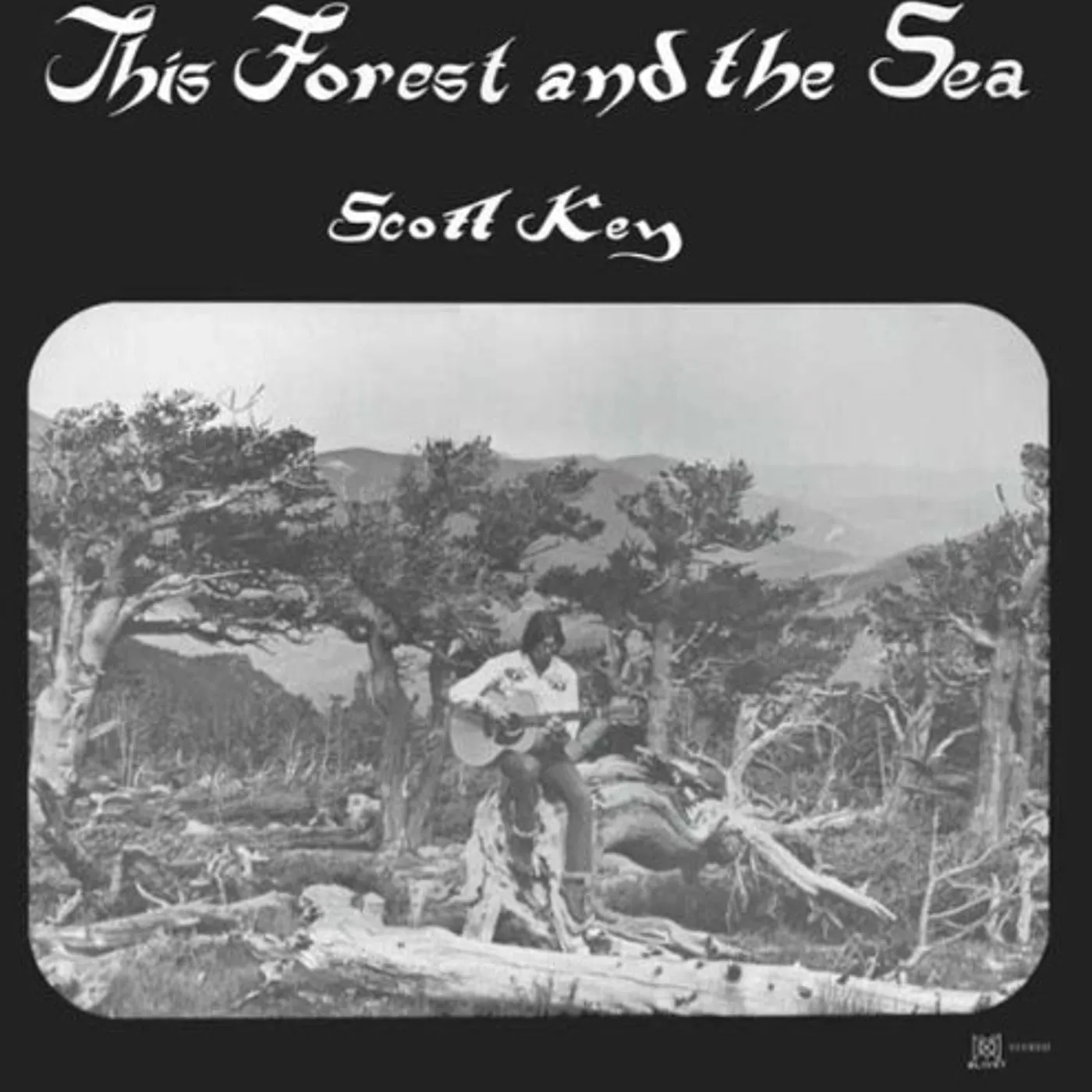 Scott Key This Forest and the Sea Vinyl Record