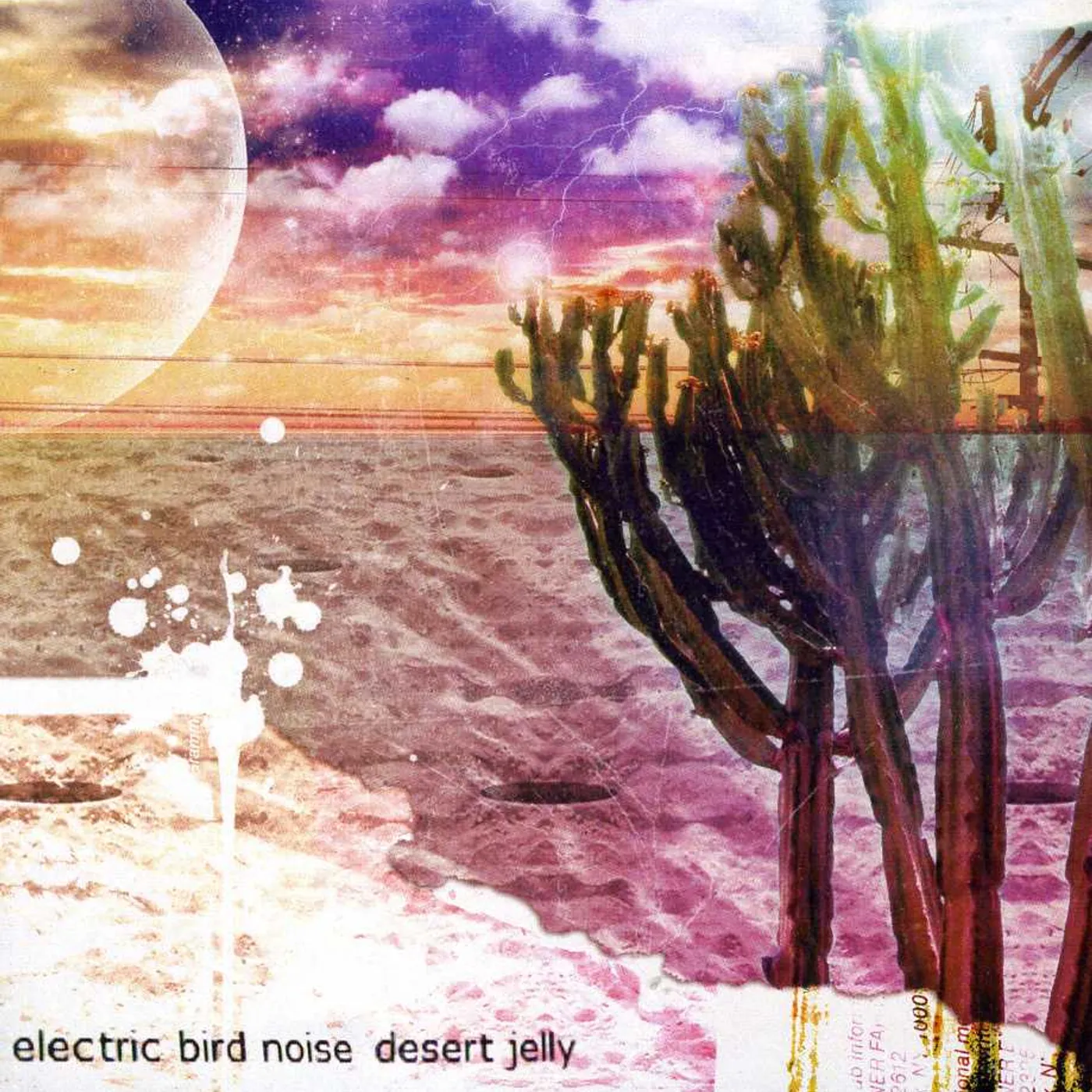Electric Bird Noise DESERT JELLY CD