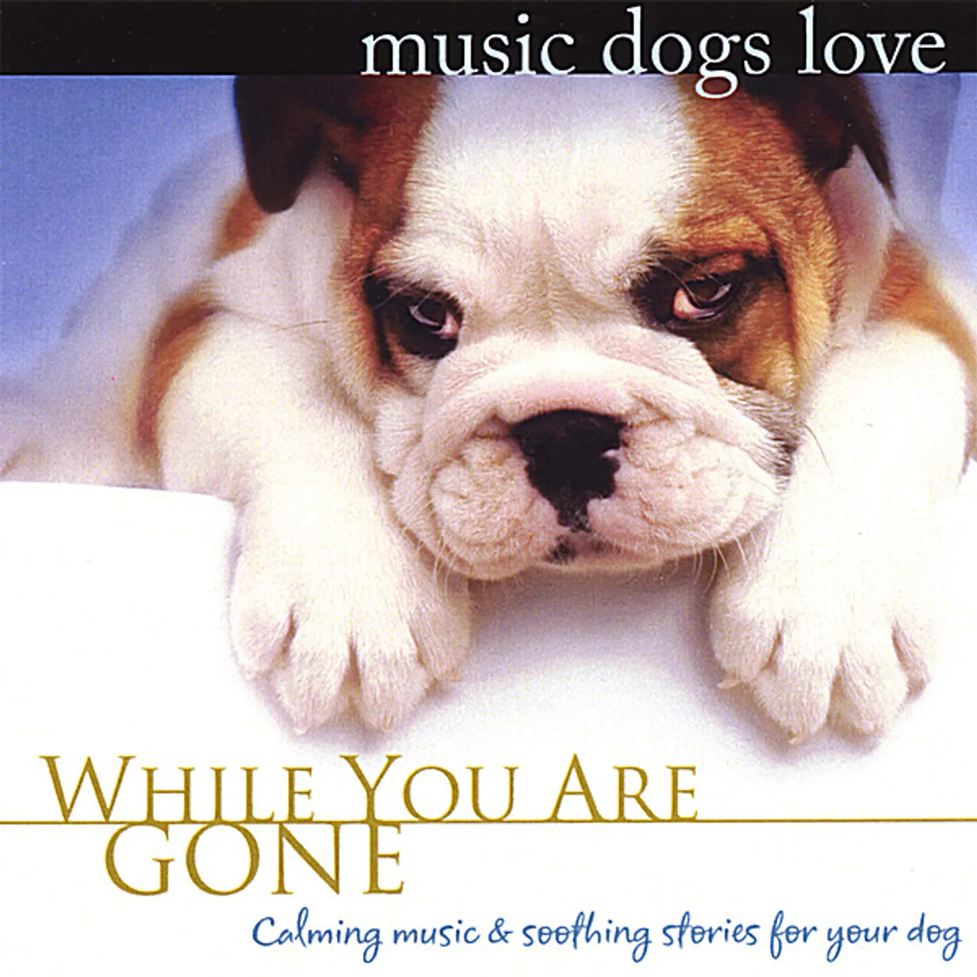 Bradley Joseph MUSIC DOGS LOVE: WHILE YOU ARE GONE CD