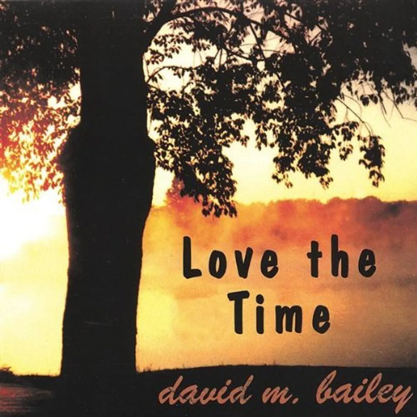 David M. Bailey LOVE THE TIME CD