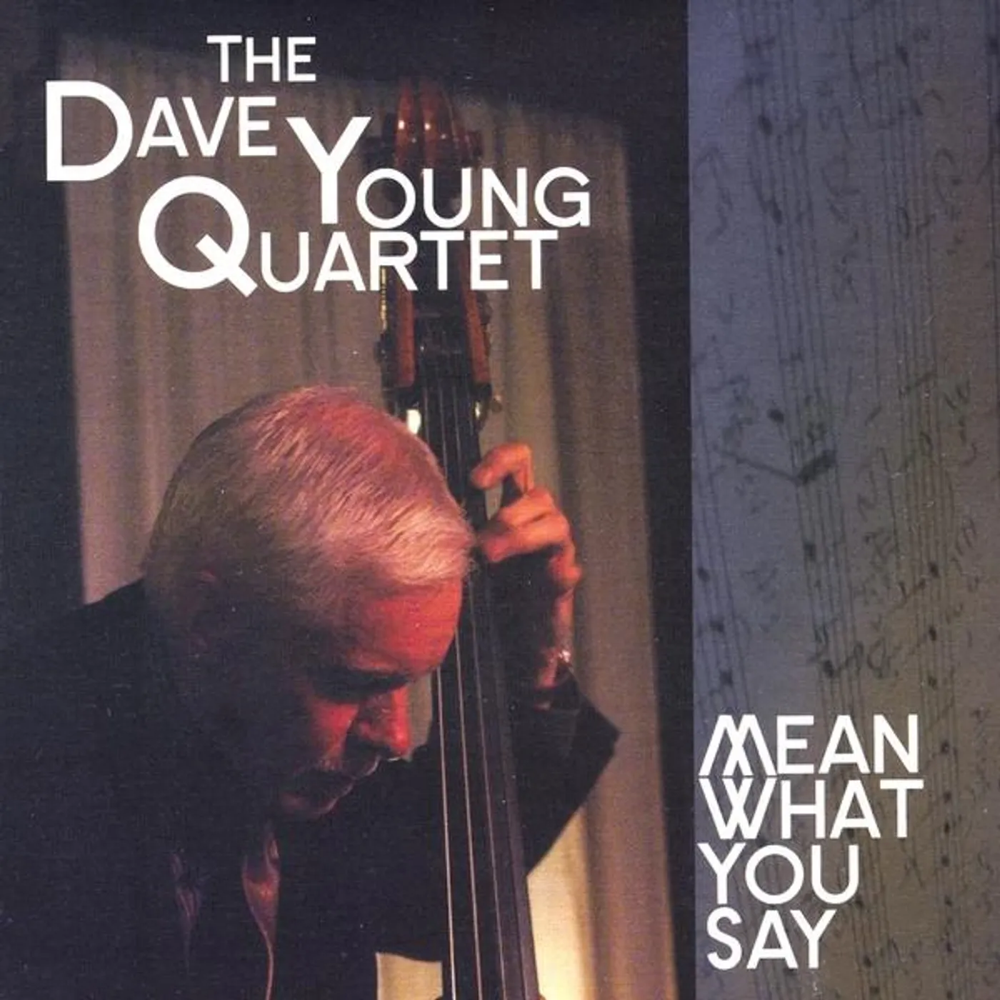 Dave Young MEAN WHAT YOU SAY CD