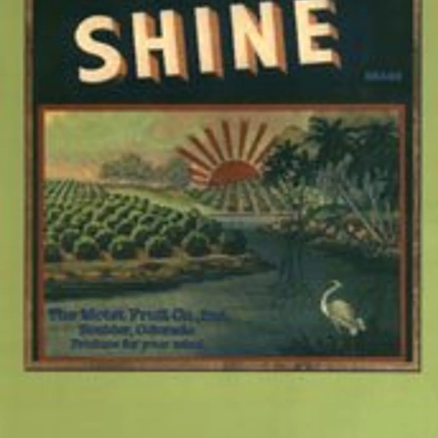 The Motet SHINE CD
