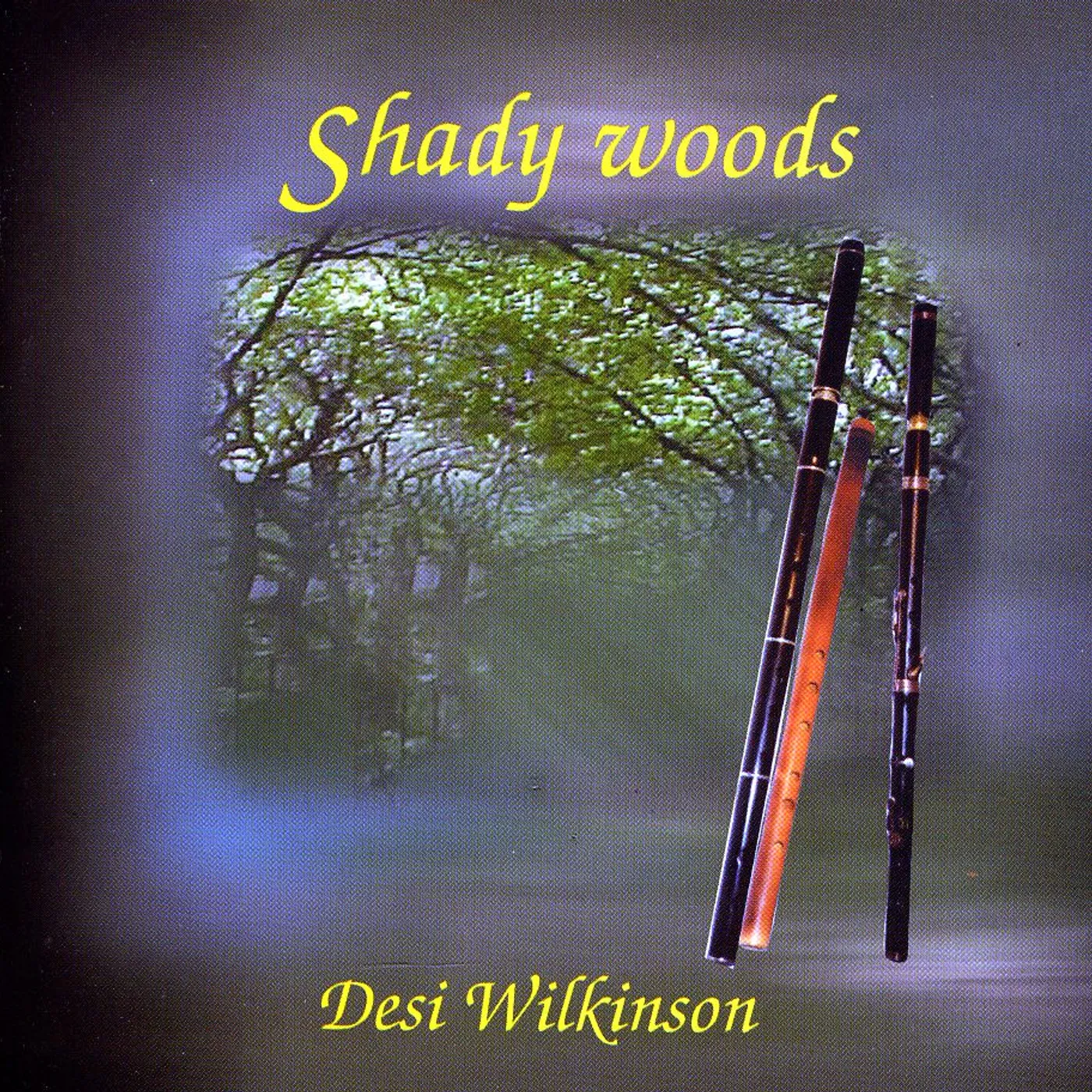 Desi Wilkinson SHADY WOODS CD