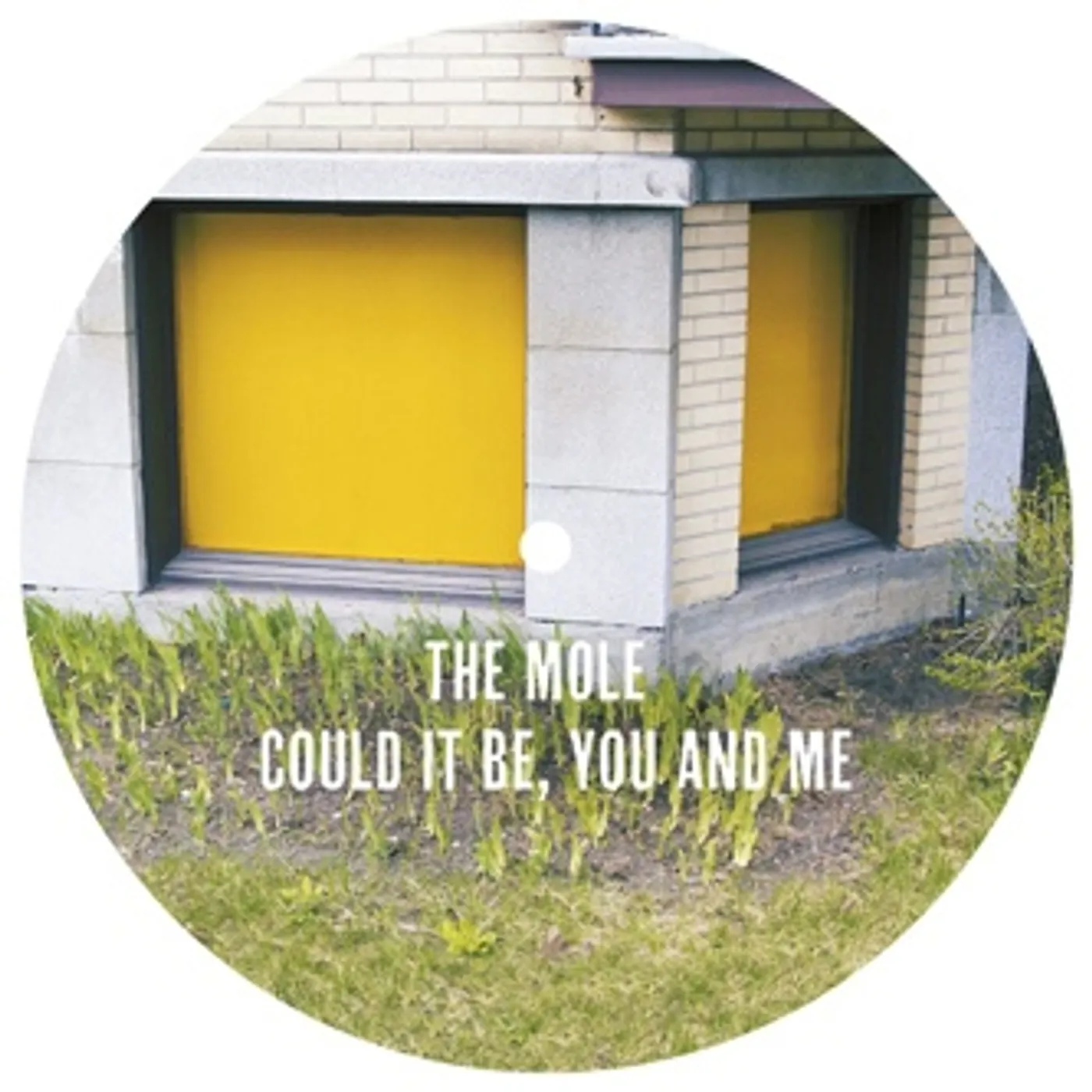 Mole COULD IT BE YOU & ME Vinyl Record
