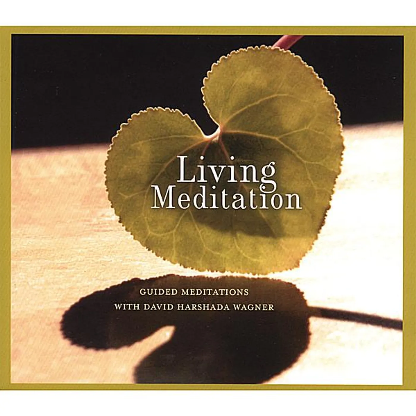 Music for Deep Meditation LIVING MEDITATION: GUIDED MEDITATIONS CD