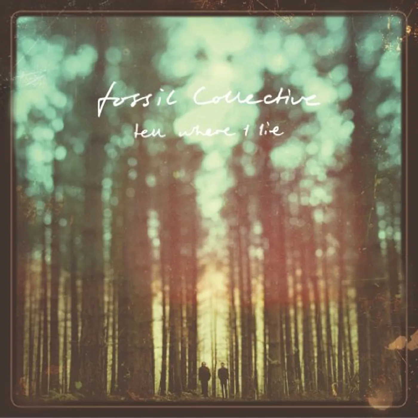 Fossil Collective TELL ME I LIE Vinyl Record
