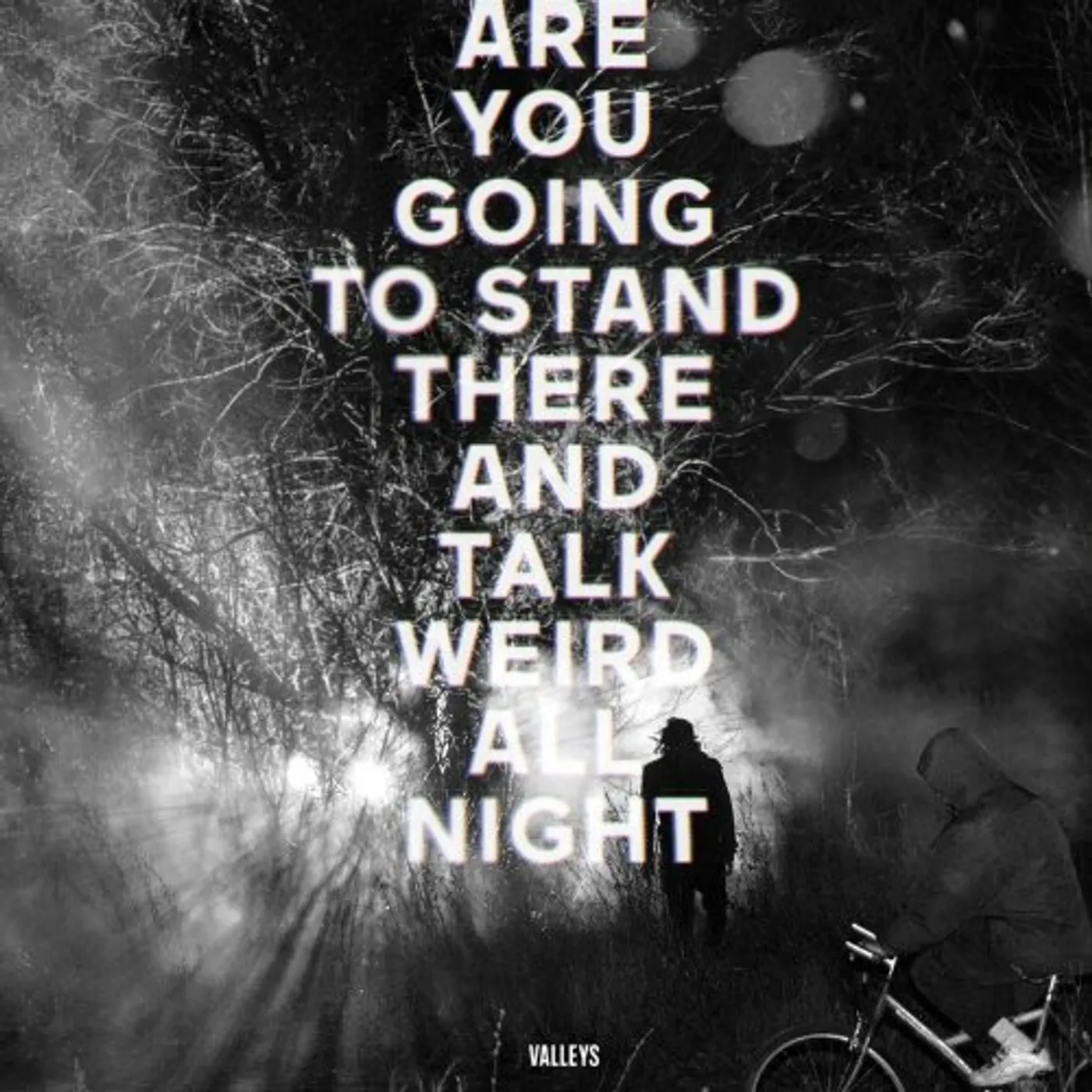 Valleys ARE YOU GOING TO STAND THERE & TALK WEIRD ALL NIGH Vinyl Record
