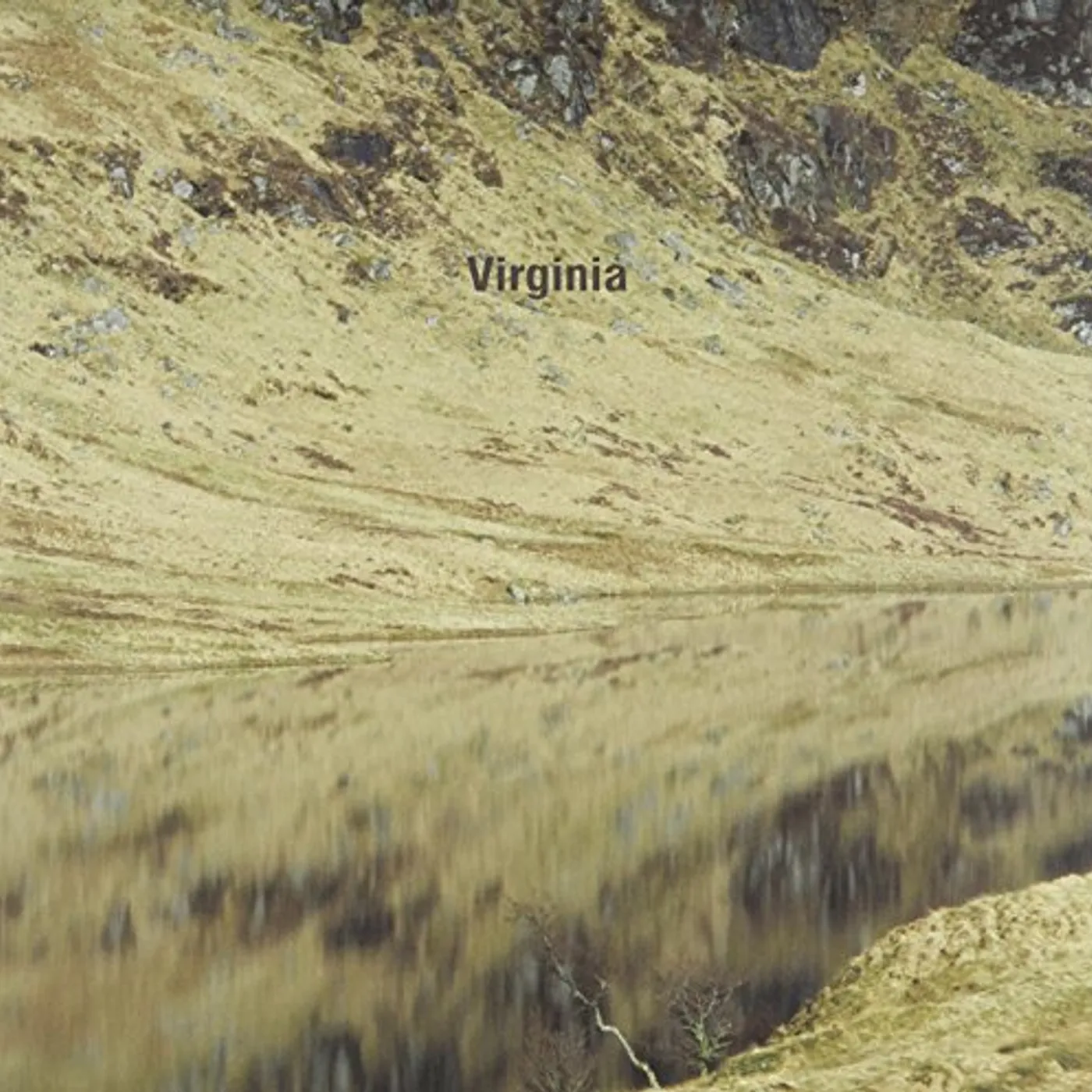 Virginia Loch & Hill Vinyl Record