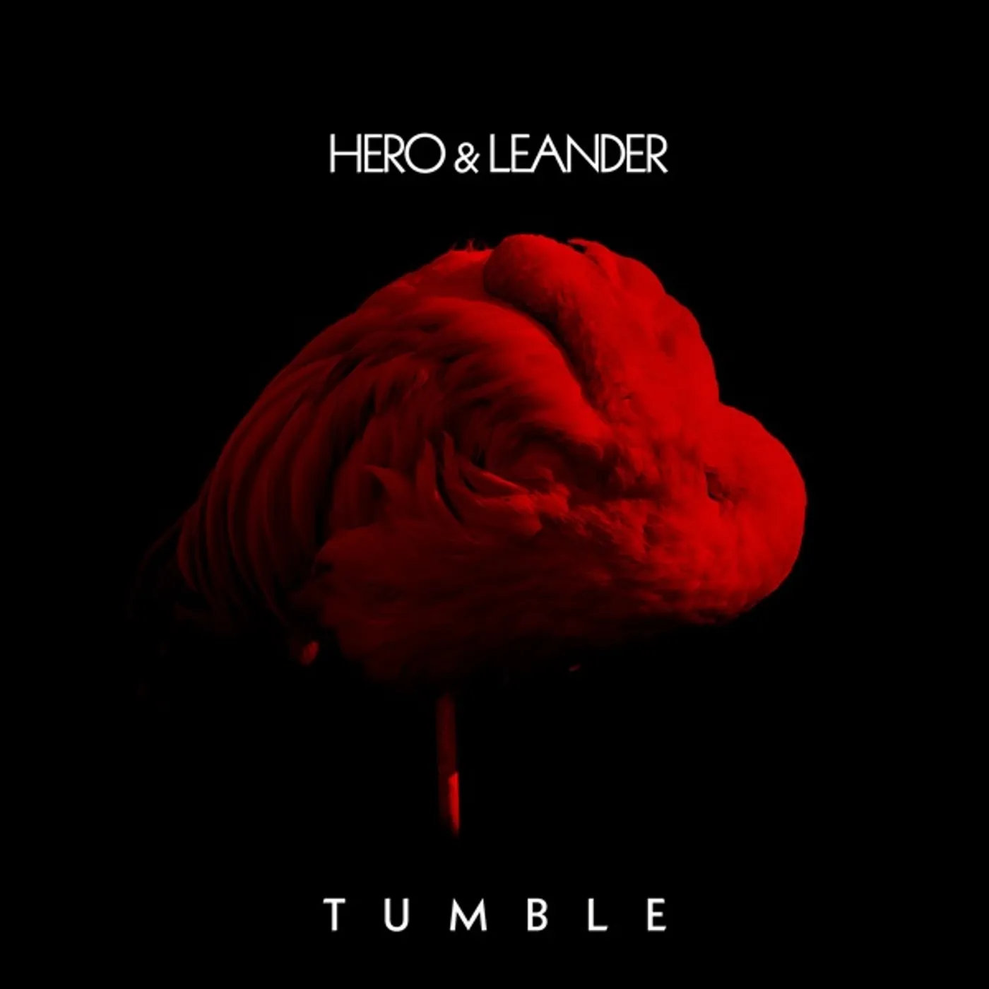 Hero & Leander Tumble Vinyl Record