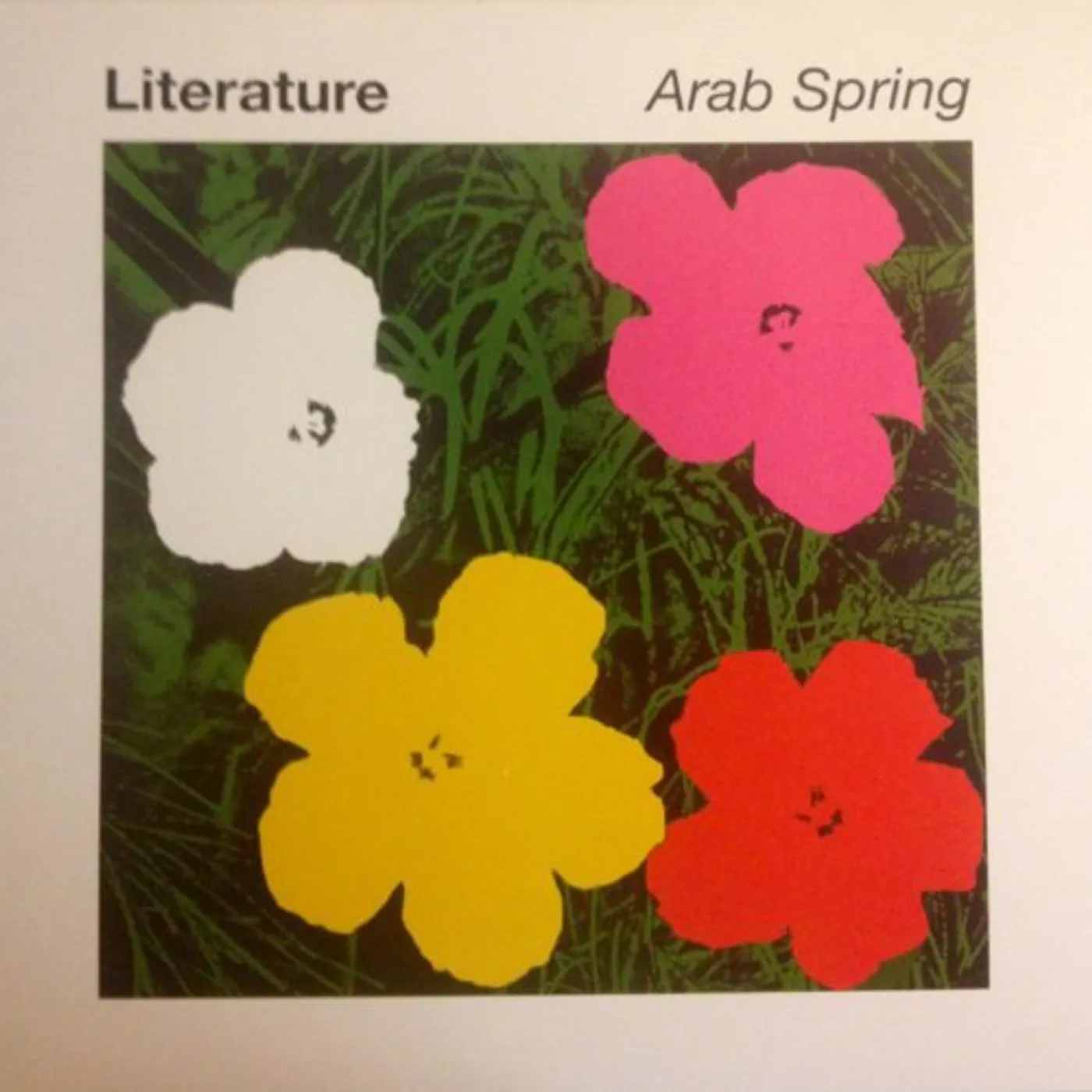 Literature Arab Spring Vinyl Record
