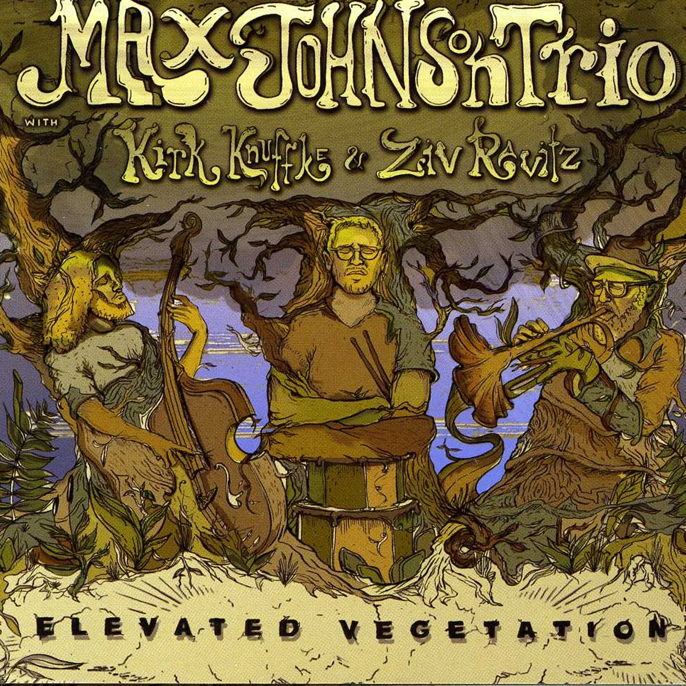 Max Johnson ELEVATED VEGETATION CD